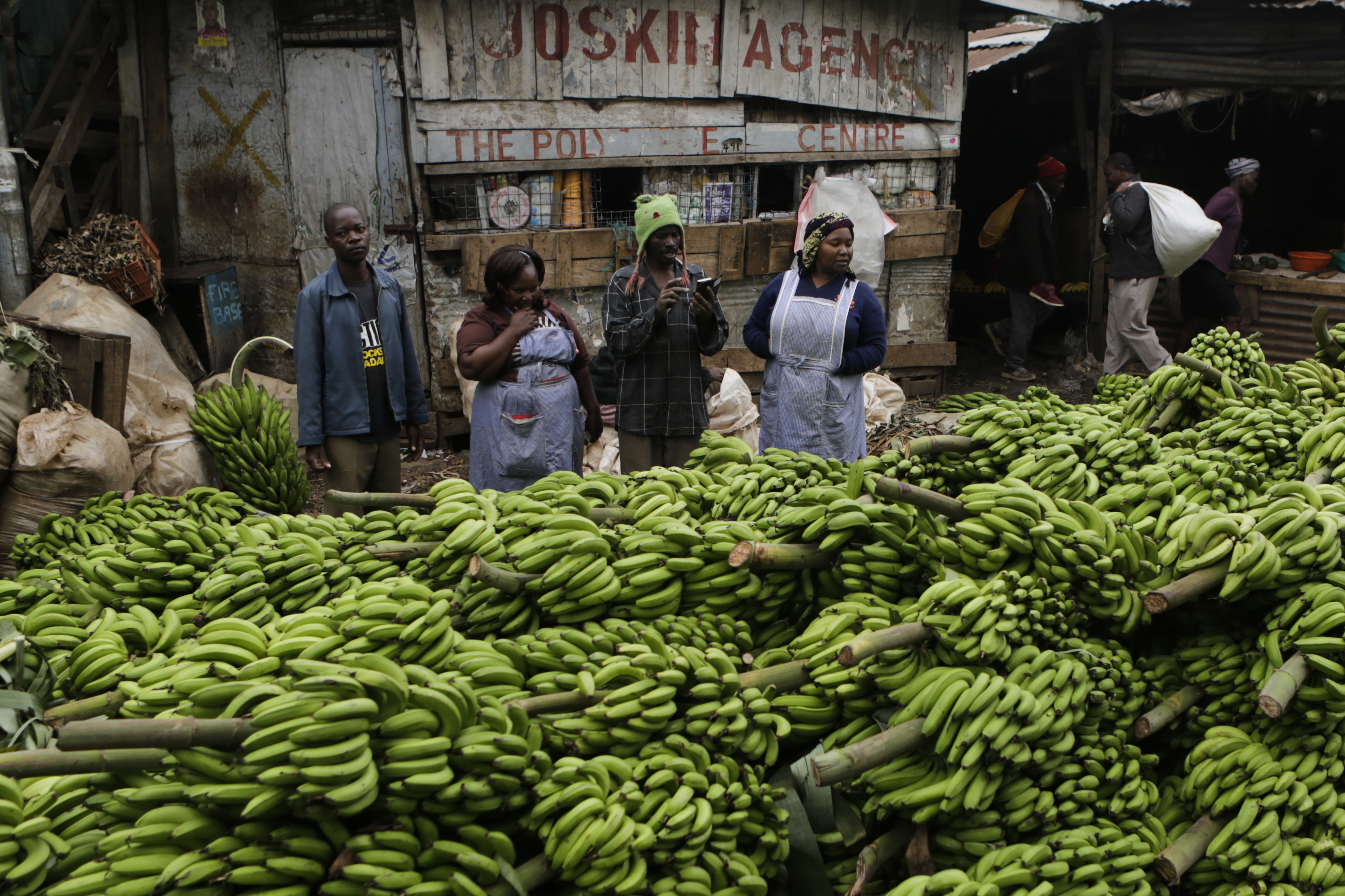 Investing in agriculture could help Kenya fight food insecurity