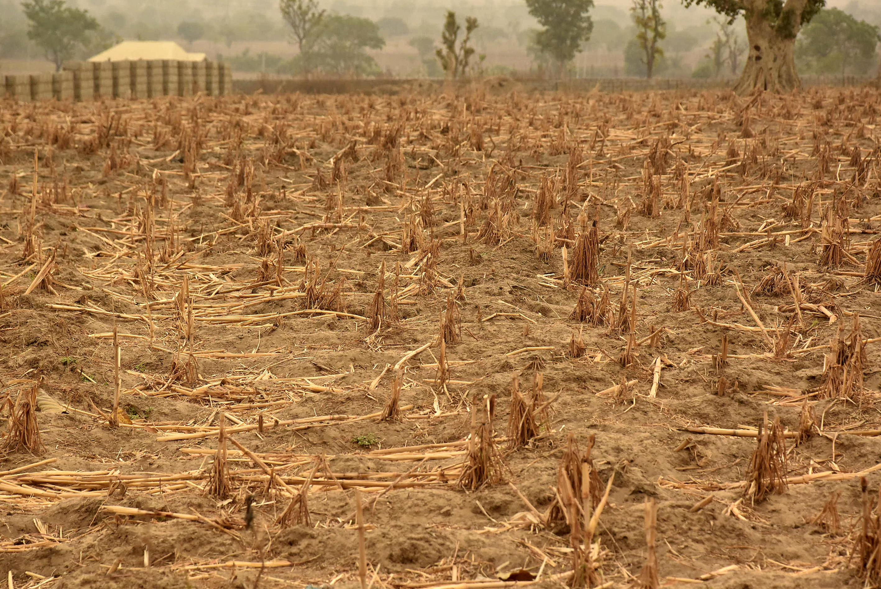 Cost of counter-terrorism for civilians in Lake Chad countries