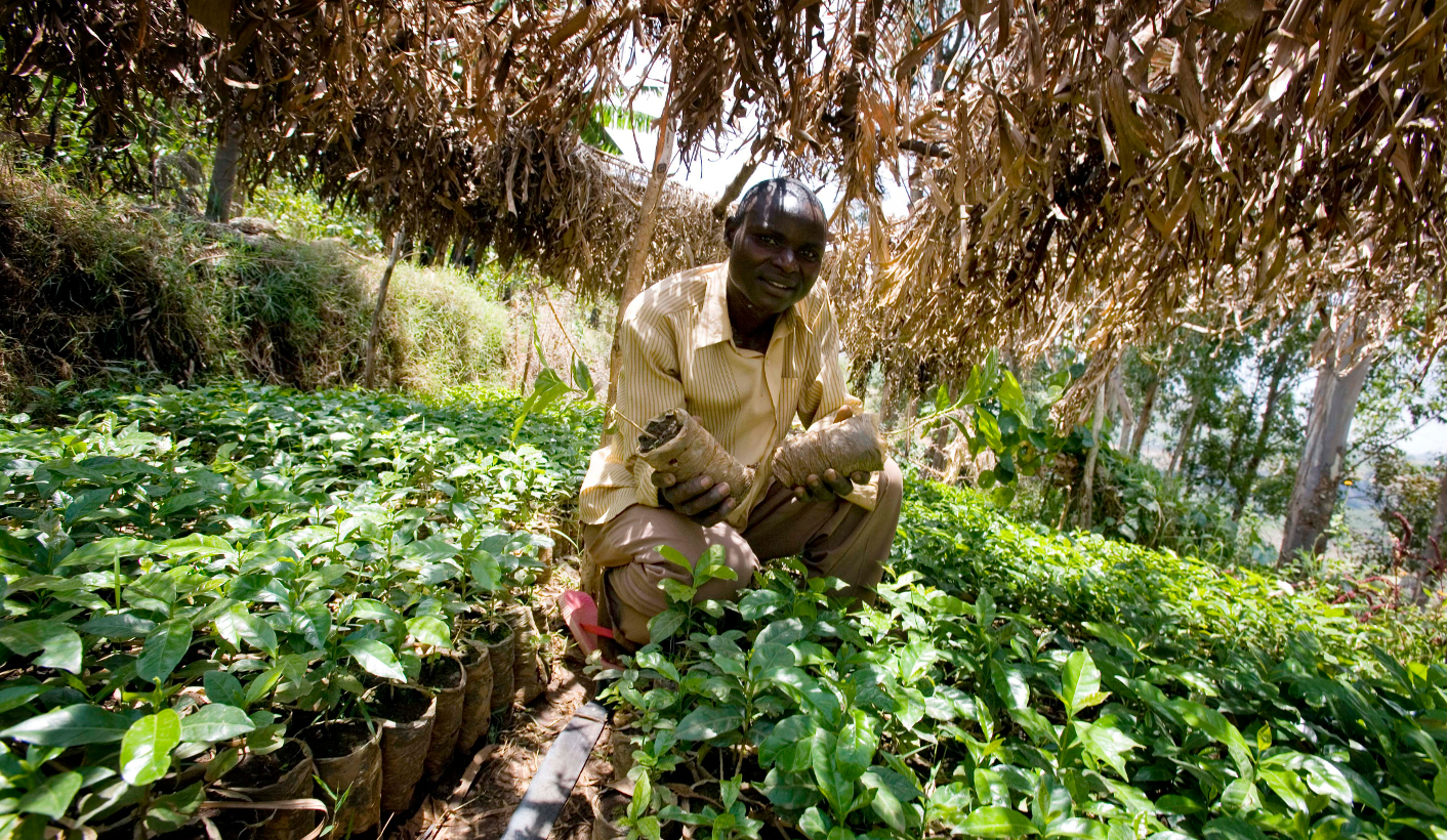 ISS Today: Is Southern Africa facing a food security disaster?