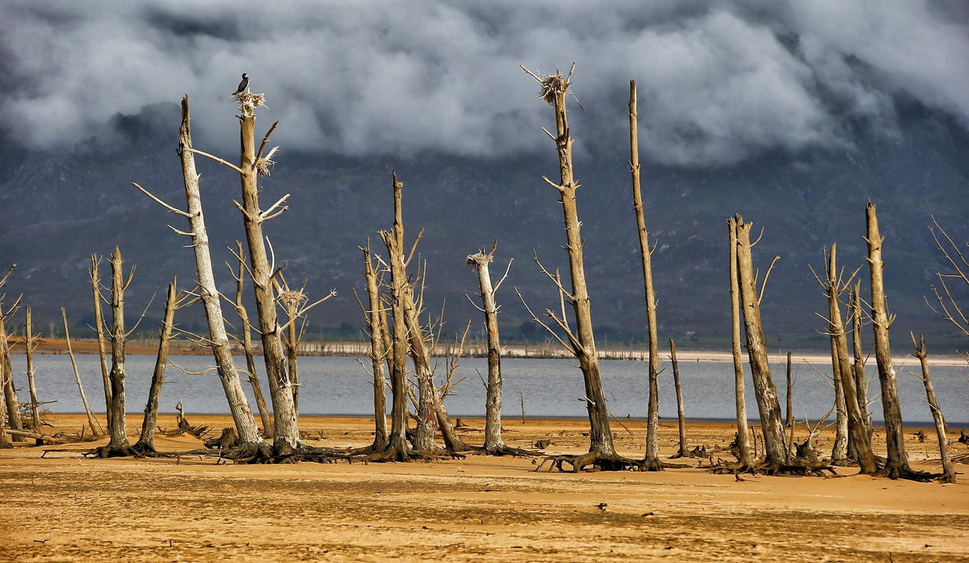 Op-Ed: A call to arms – the climate change crisis amidst mass unemployment