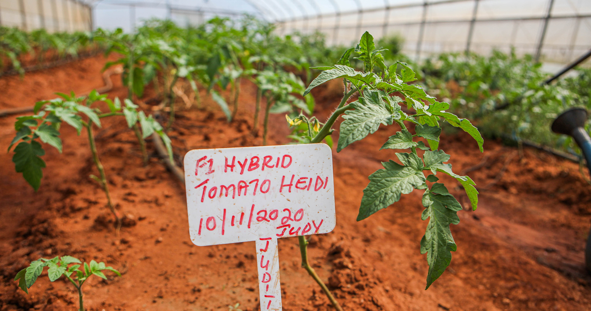 Restoring the balance of nature and reversing food insecurity starts with land reform