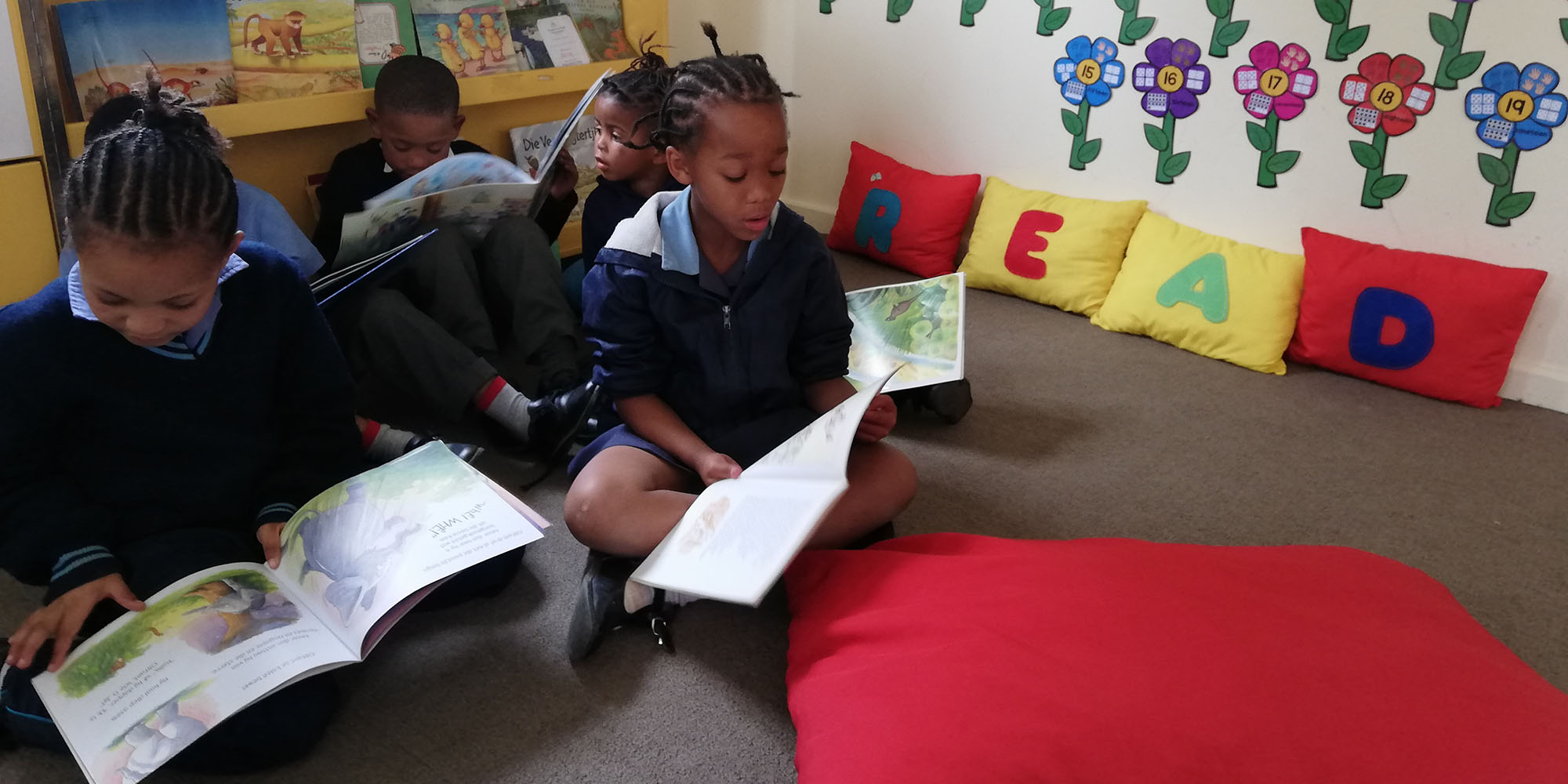 Navigating the journey towards reading for meaning one classroom library at a time