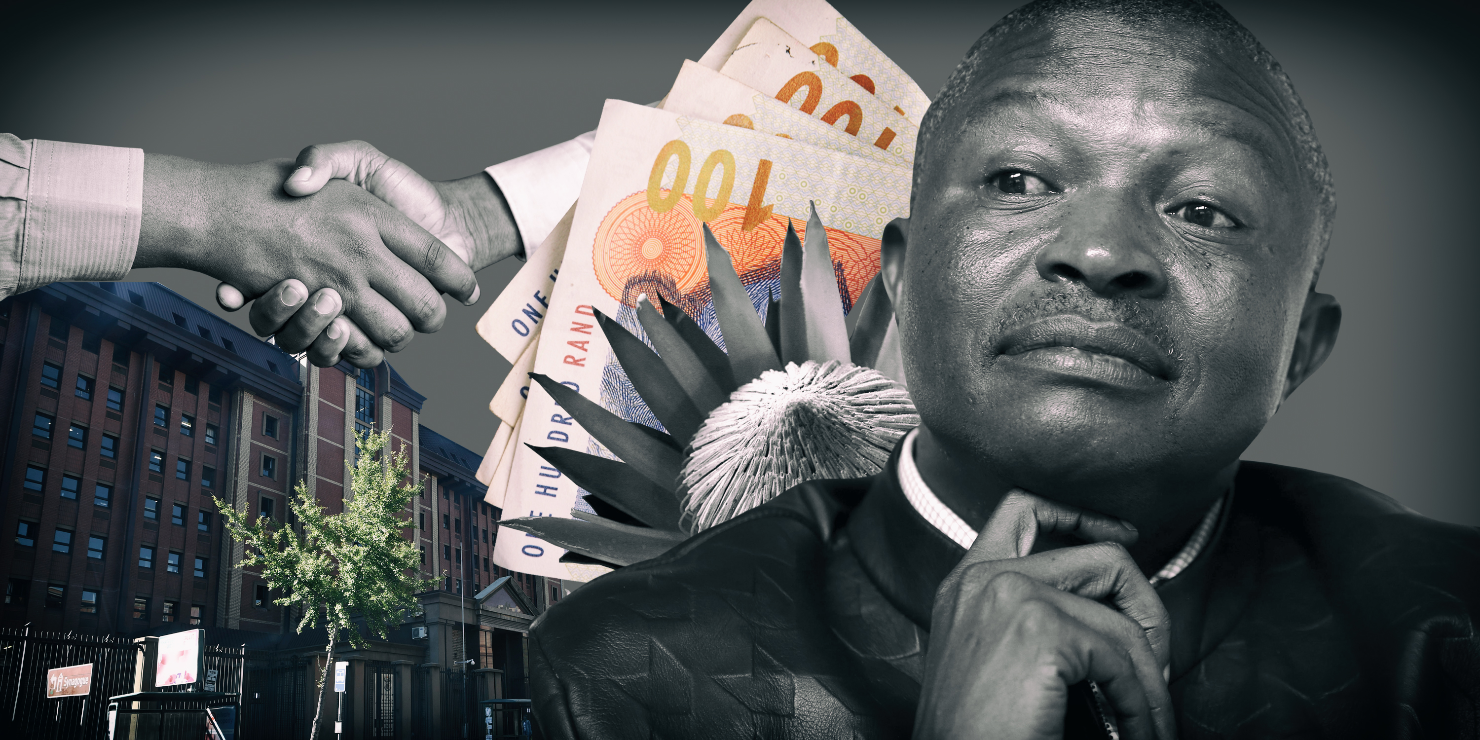 Dead Matter (Part One): How political corruption decimated Mpumalanga’s biodiversity