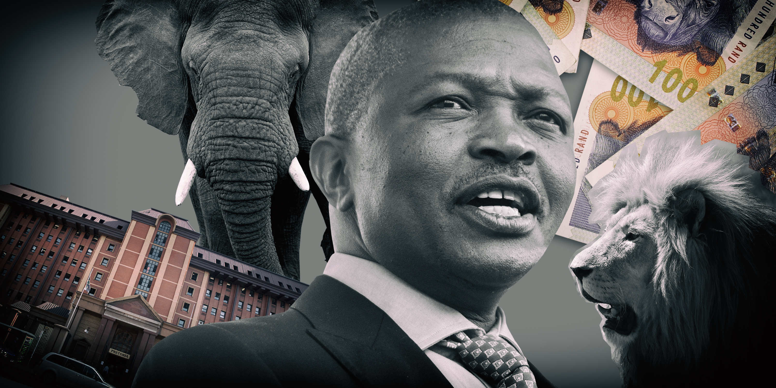 Dead Matter (Part Two): The lion, the conservationist and South Africa's future deputy president