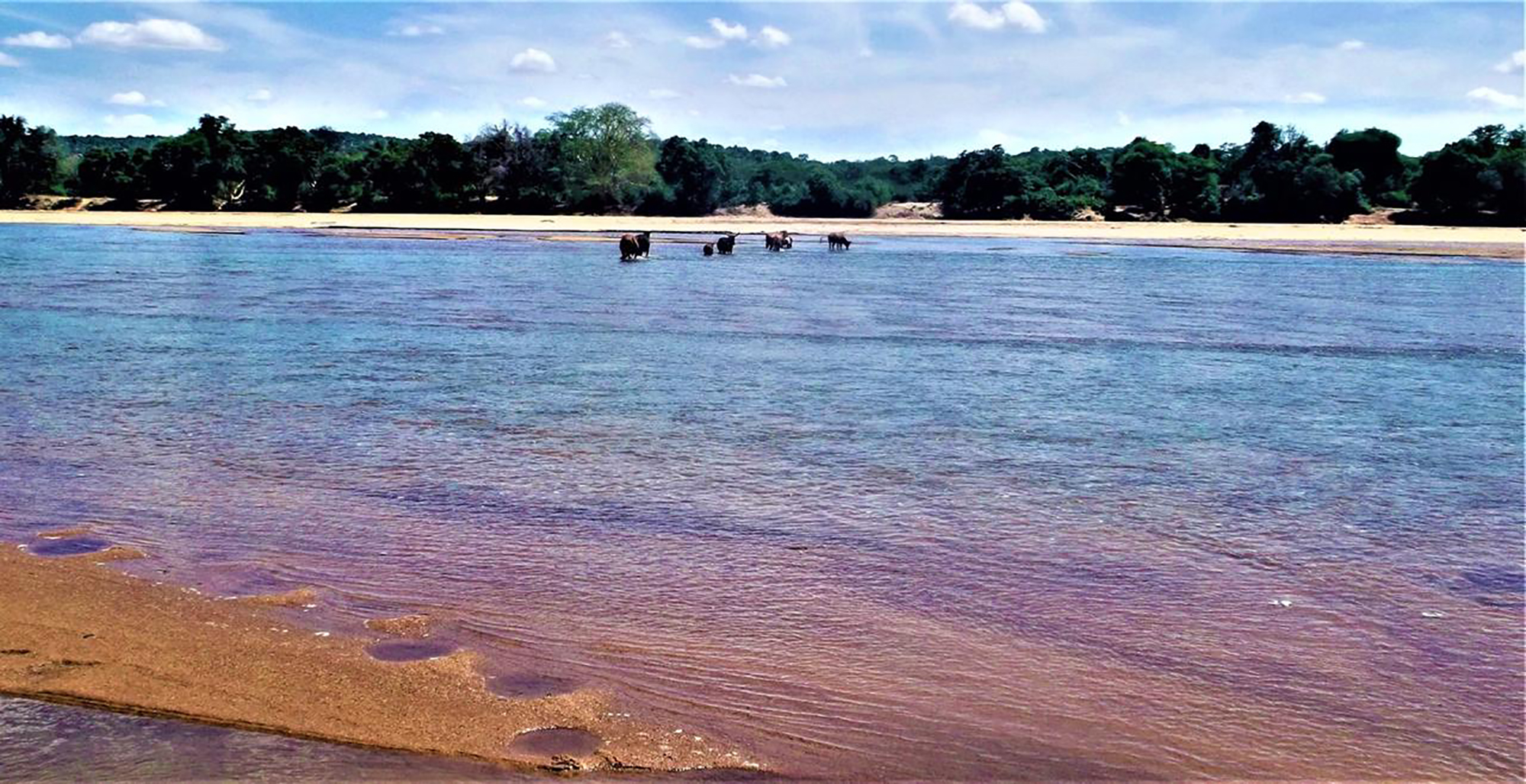 Killing the Holy Ghost: Inside the R145bn plan that would destroy the Limpopo River   