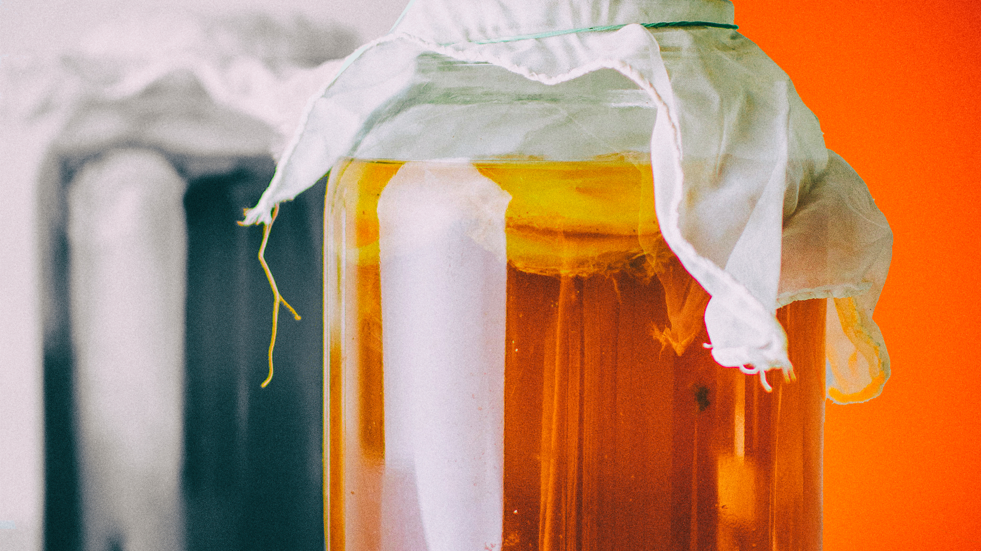 Should you be drinking kombucha?
