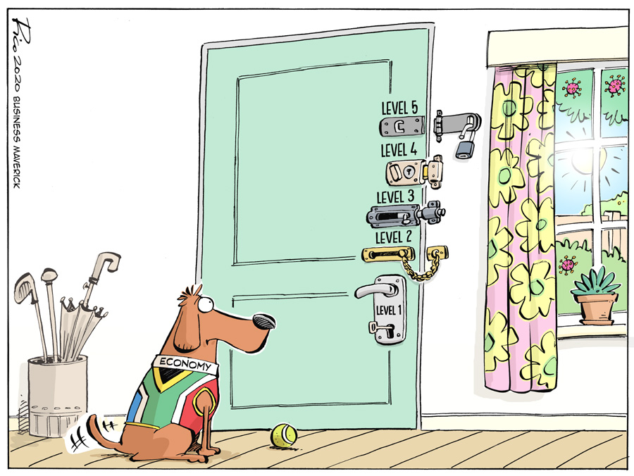 Cartoon Tuesday with Rico