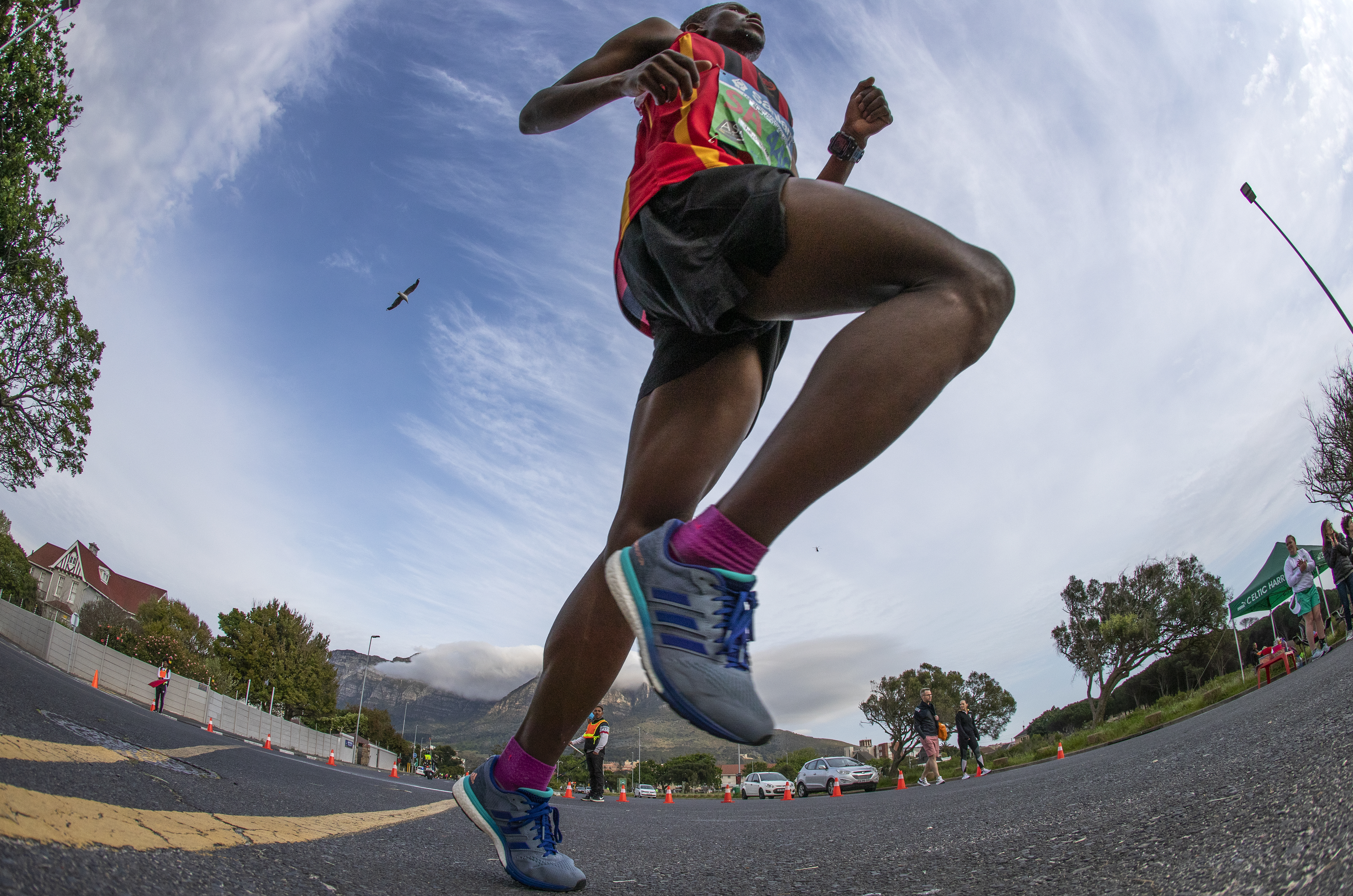 Cape Town Marathon cancelled, deemed unsafe after wind damages structures