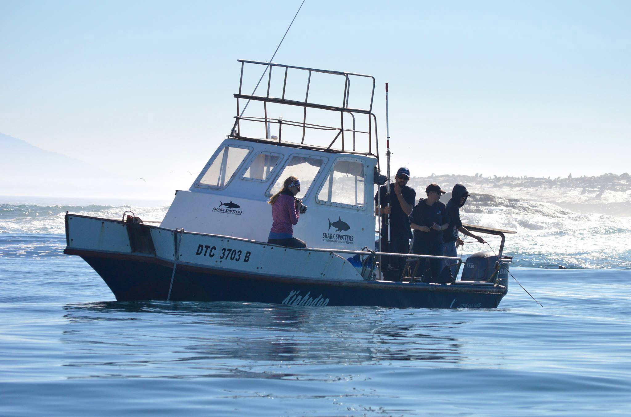 Something big and scary has sent False Bay’s apex predators fleeing from the area
