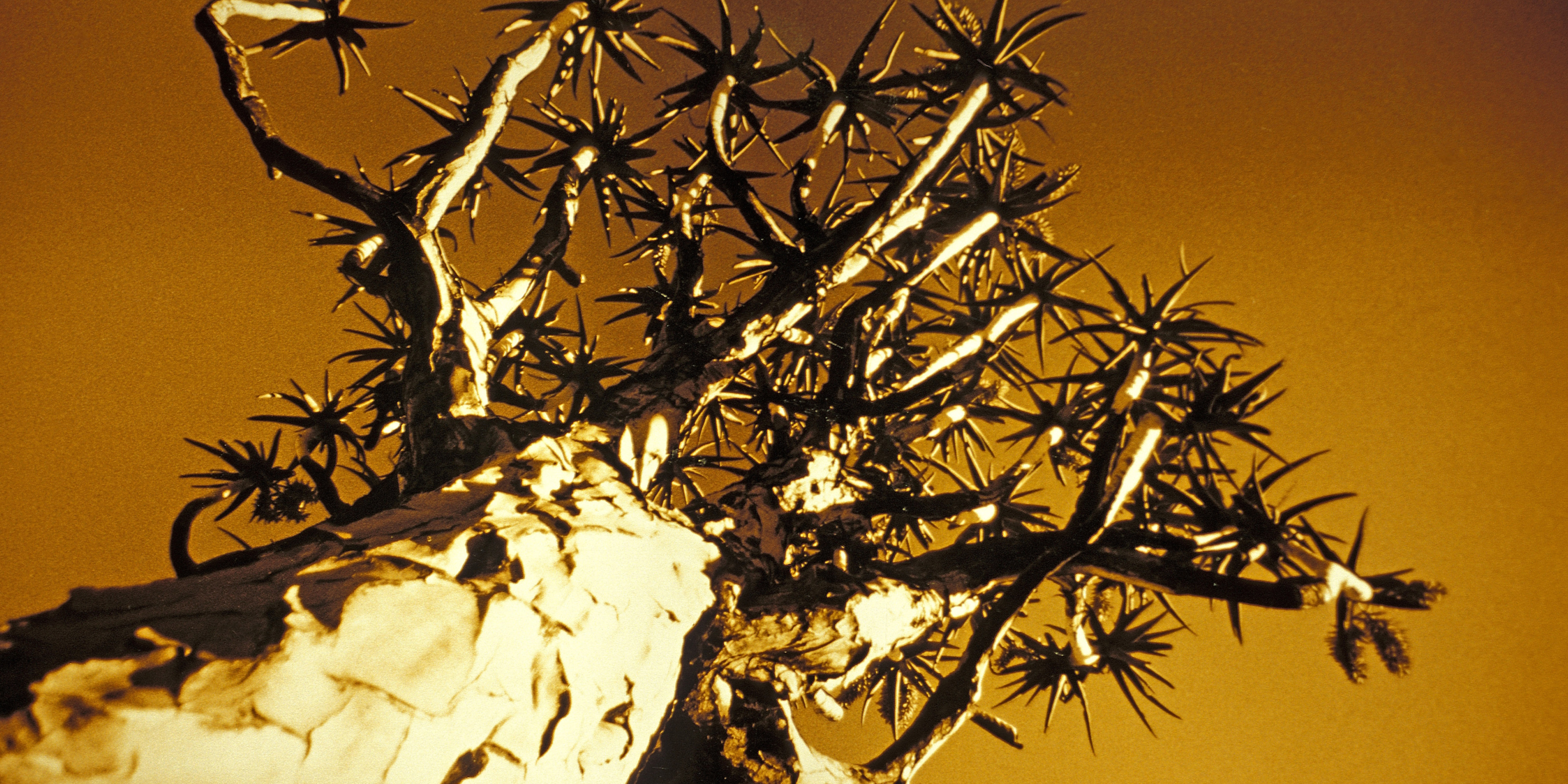 State of the oceans: southern African cyclones and droughts are just a taste of things to come