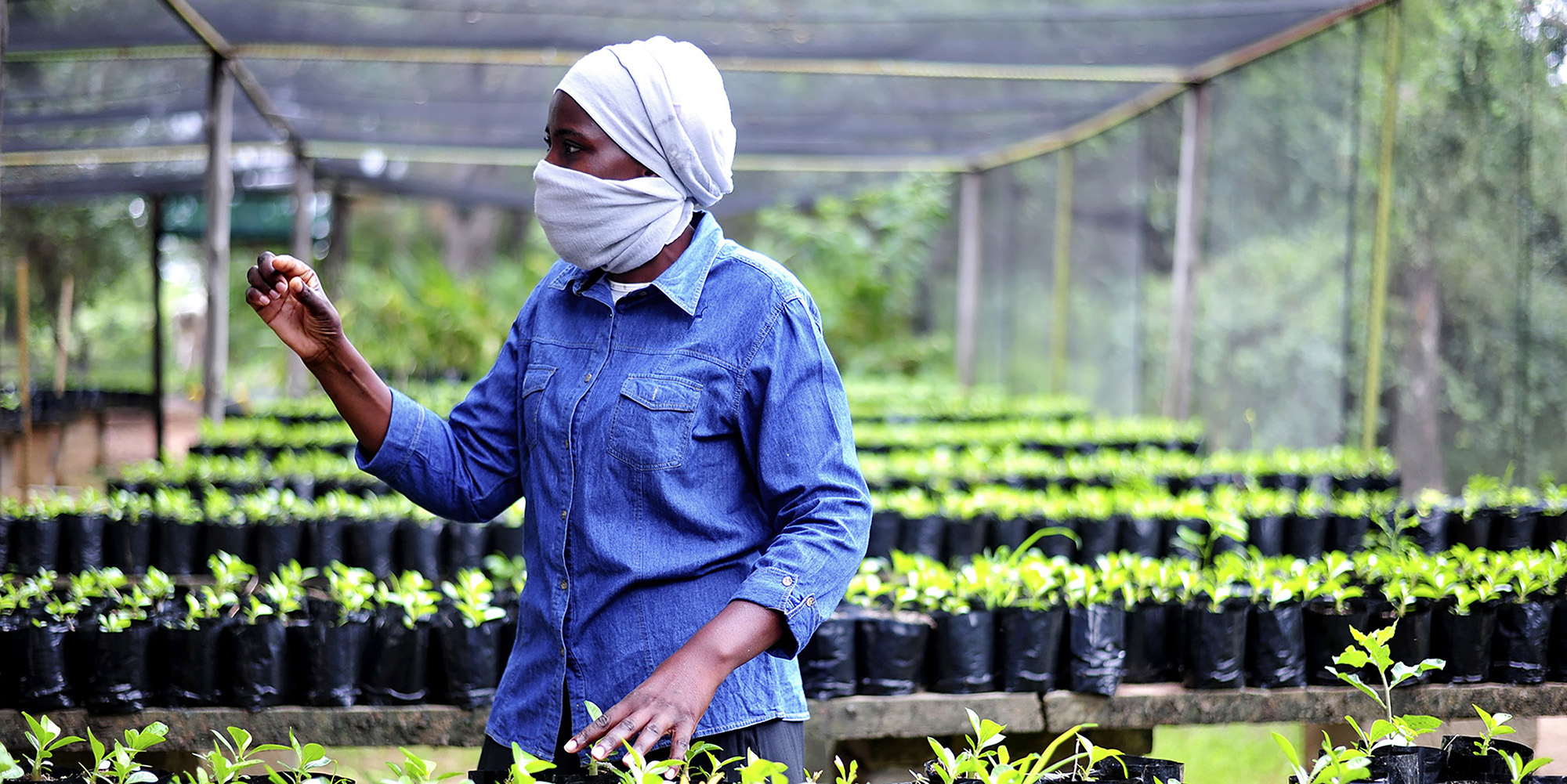 The right medicine for muthi hunters