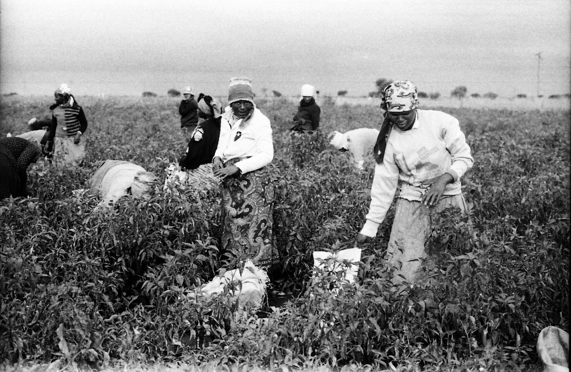 The Complete Worker – a cycle of work and the evolution of the labour movement