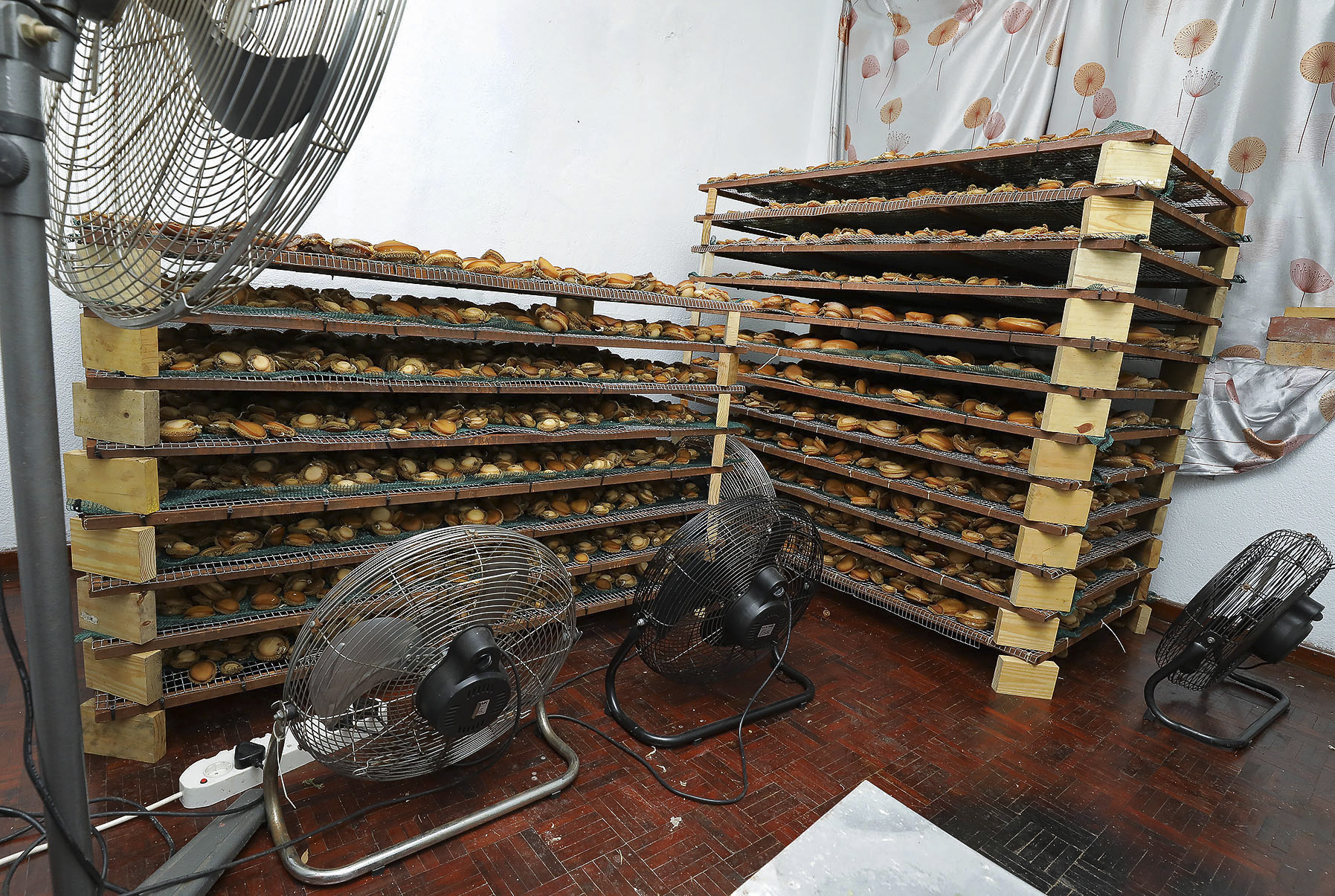 Africa’s coastal regions and economies sinking beneath a sea of maritime sector corruption