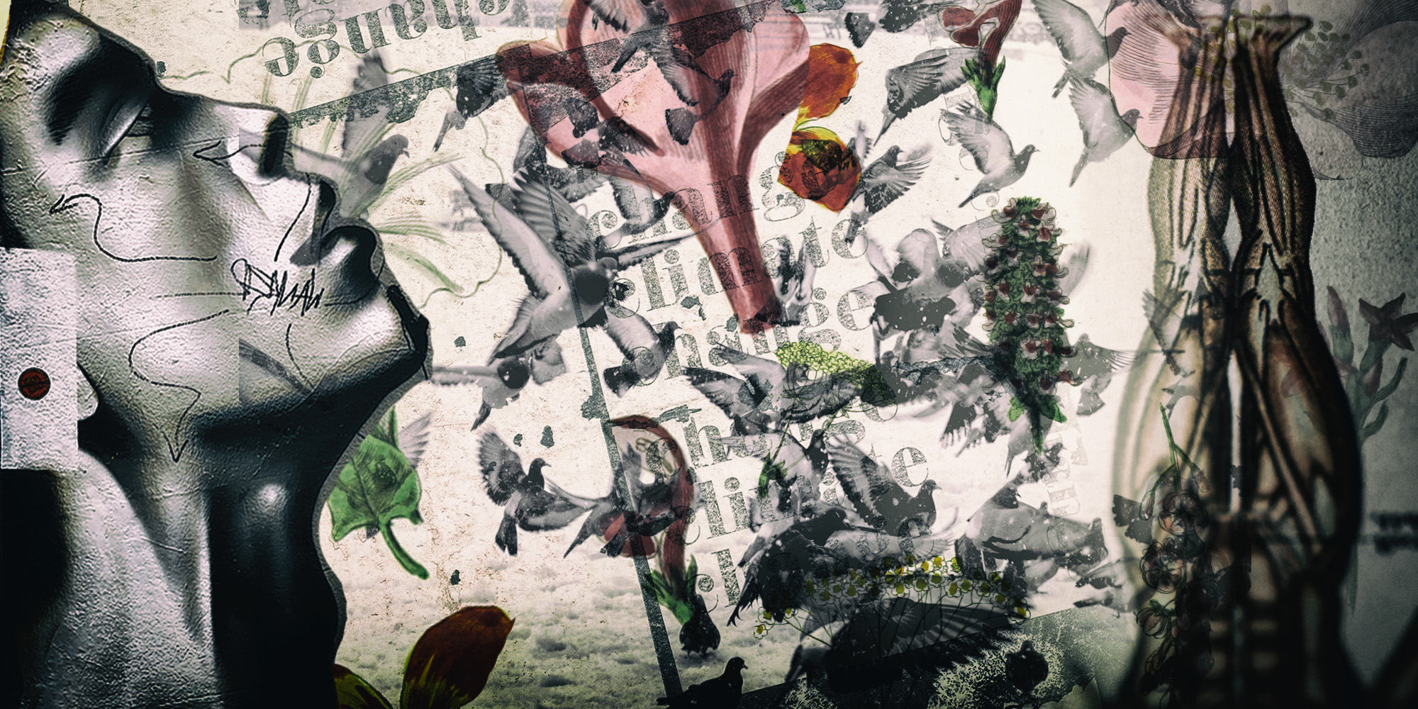 Last tangle with Oxford: The art of seeing