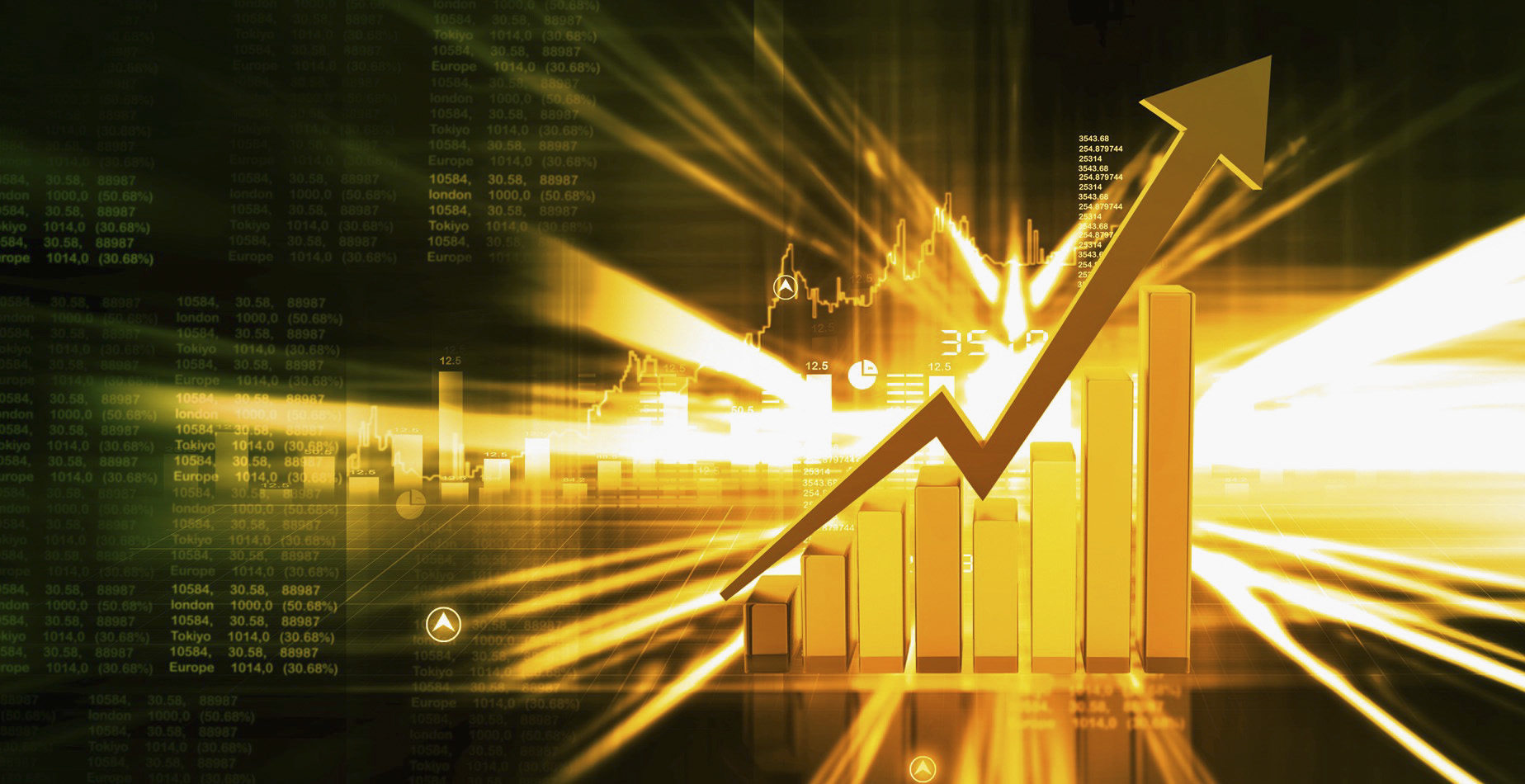 It is unconstitutional for state departments and state-owned entities to invoke pre-disqualification criteria to public tenders