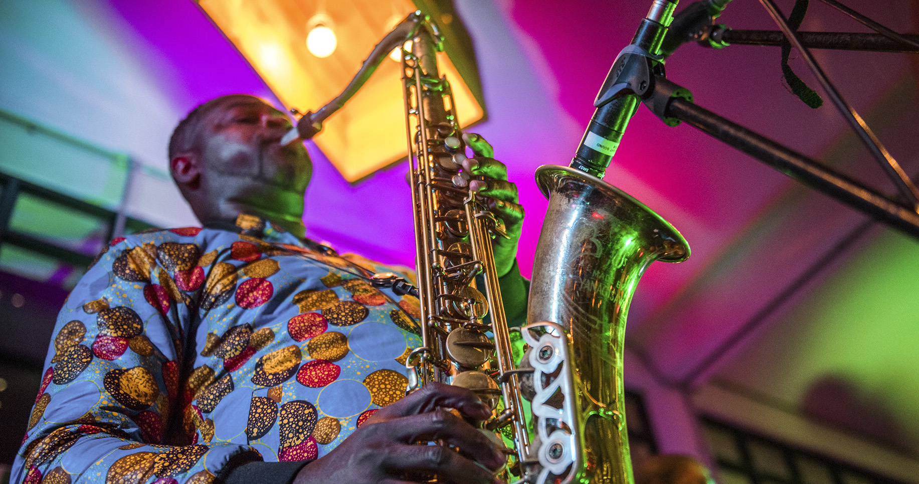 This week in civil society: Celebrating the power of immunisation, human rights, freedom and jazz