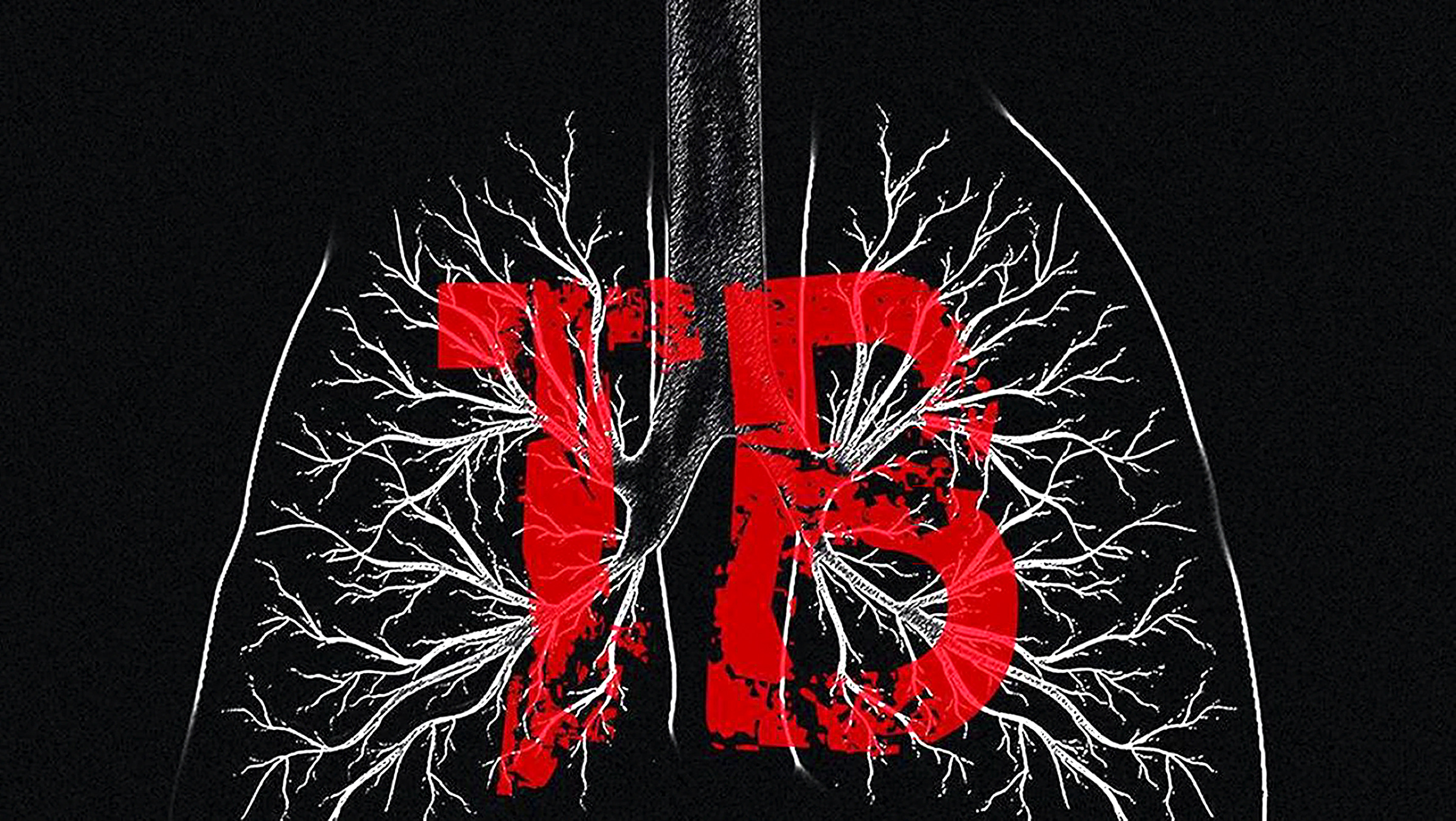 After setbacks, rollout of new TB prevention pills to start in six SA districts