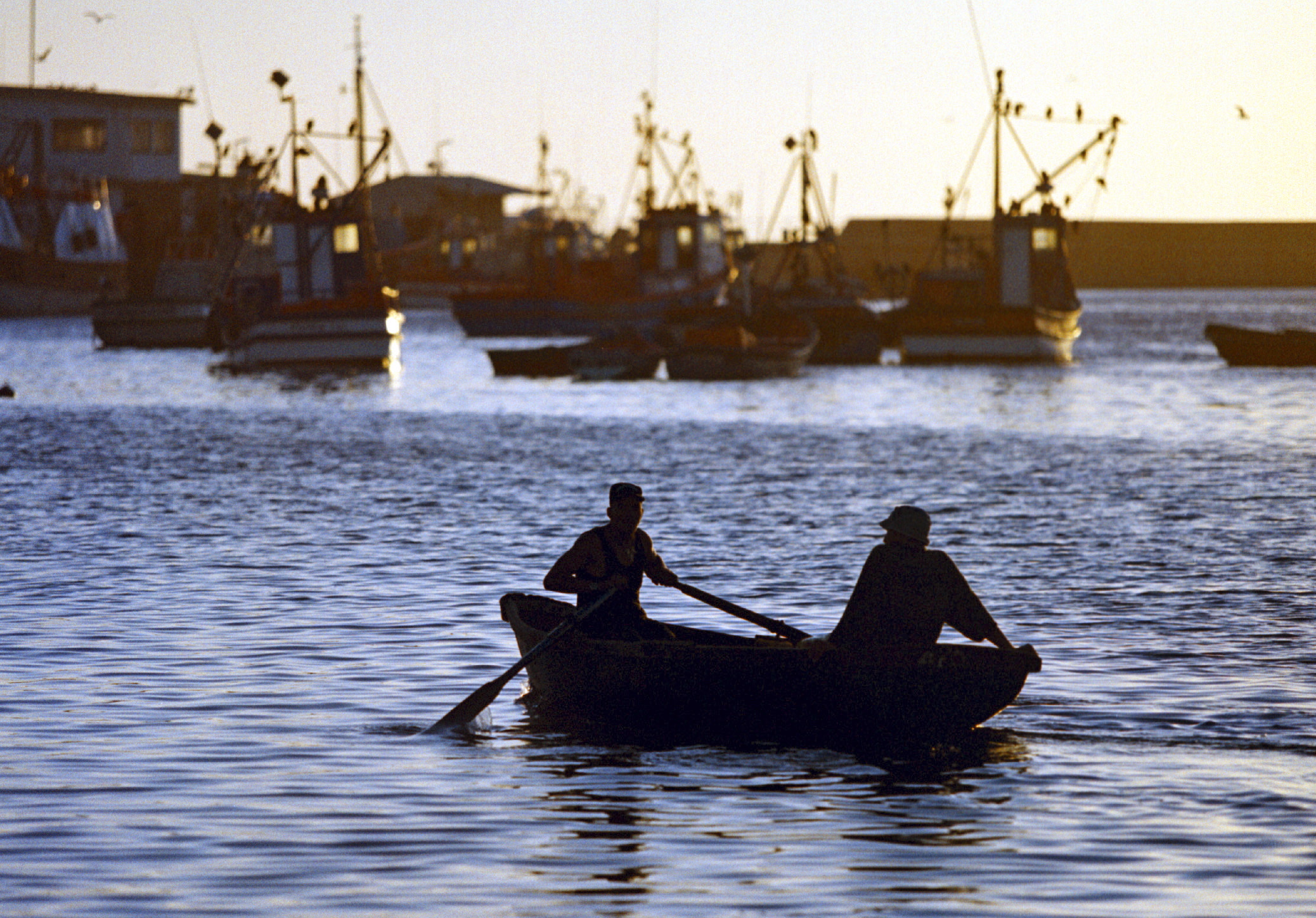 The scourge of illegal fishing must be curbed for the sake of local economies and regional security