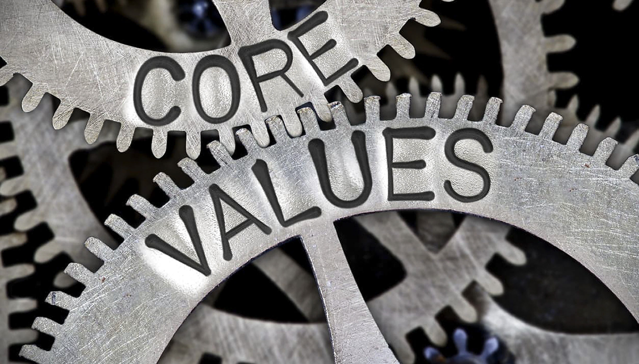 Draft Procurement Bill - ditch the secrecy, recover with integrity