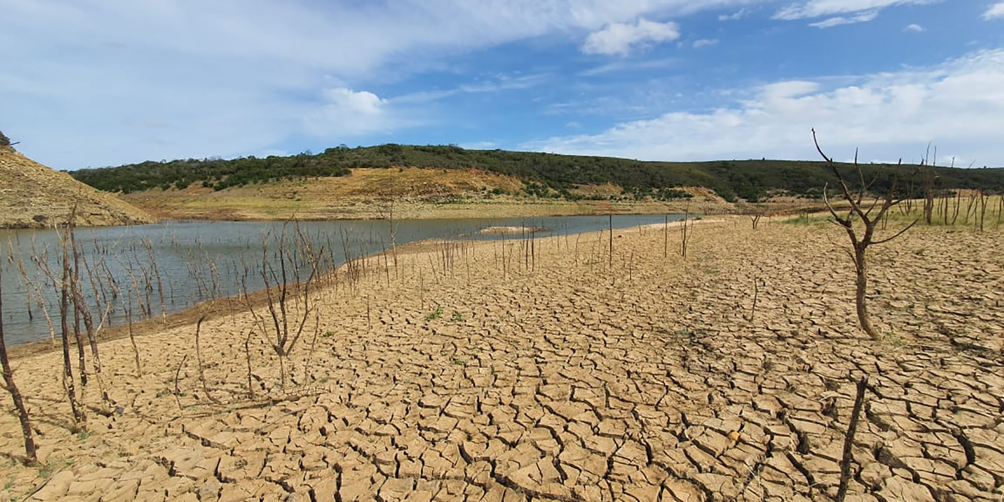 SA engineers wade into global water and greenhouse cooling crises