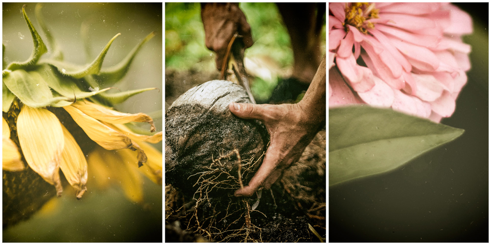 Living in the End Times: Four days for the Earth