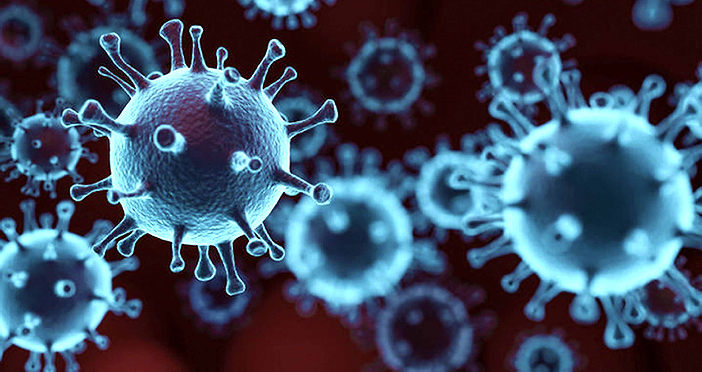 The real spectre of Pathogen X and another global pandemic