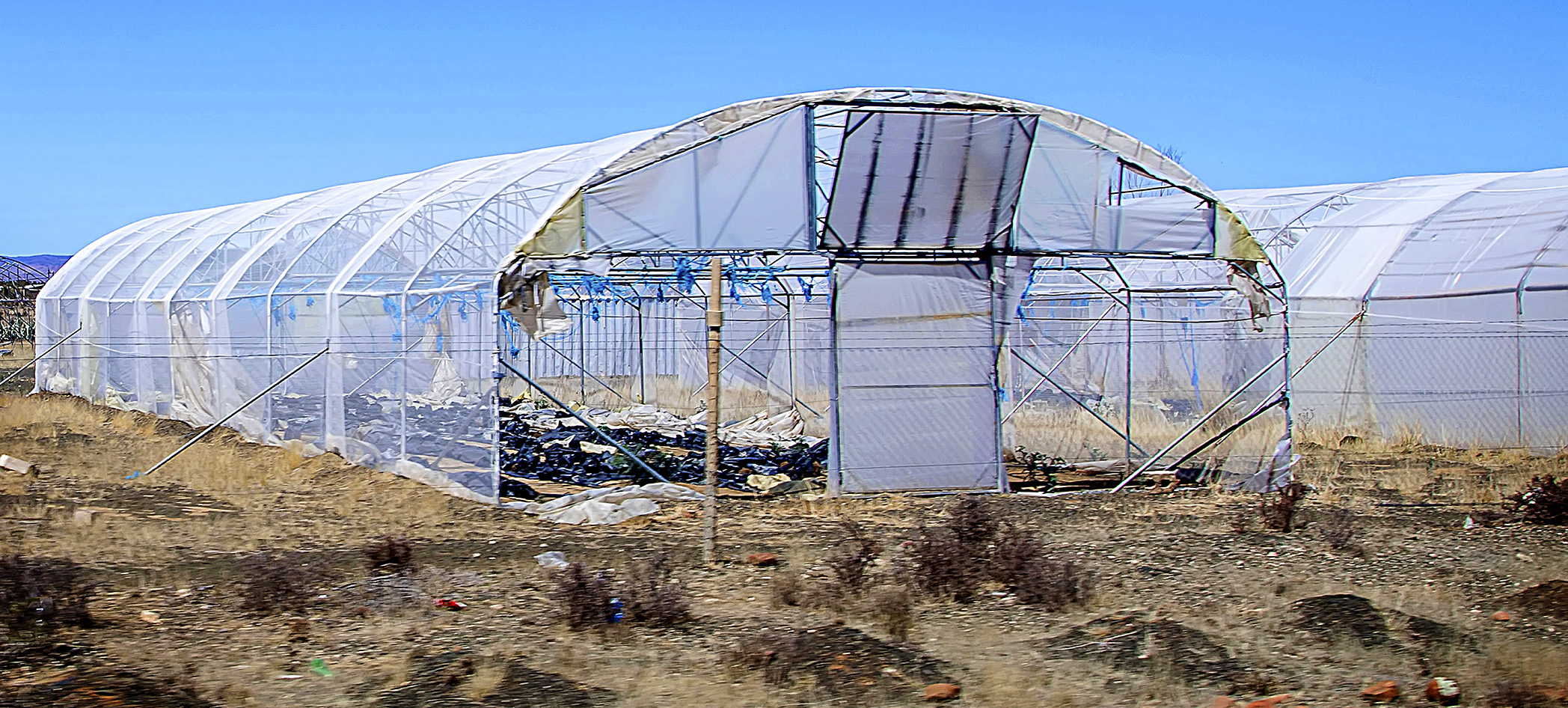 Fire sale: Eastern Cape’s Dr Beyers Naudé Municipality flogging land as it fights for financial survival