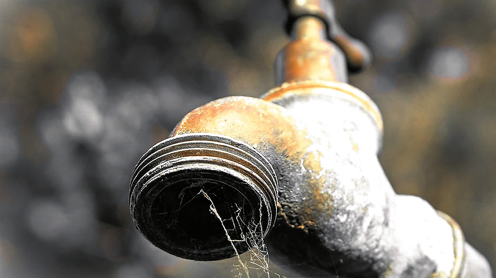 Makana local municipality: Does administrative intervention work?