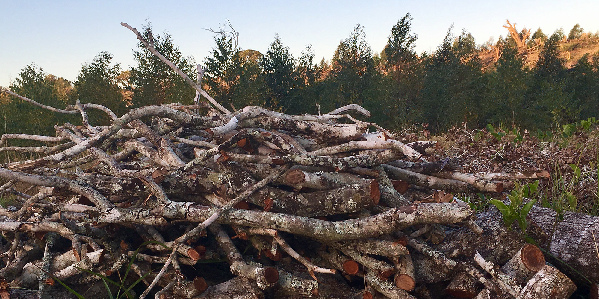 Unfettered rural development tramples the bucolic life