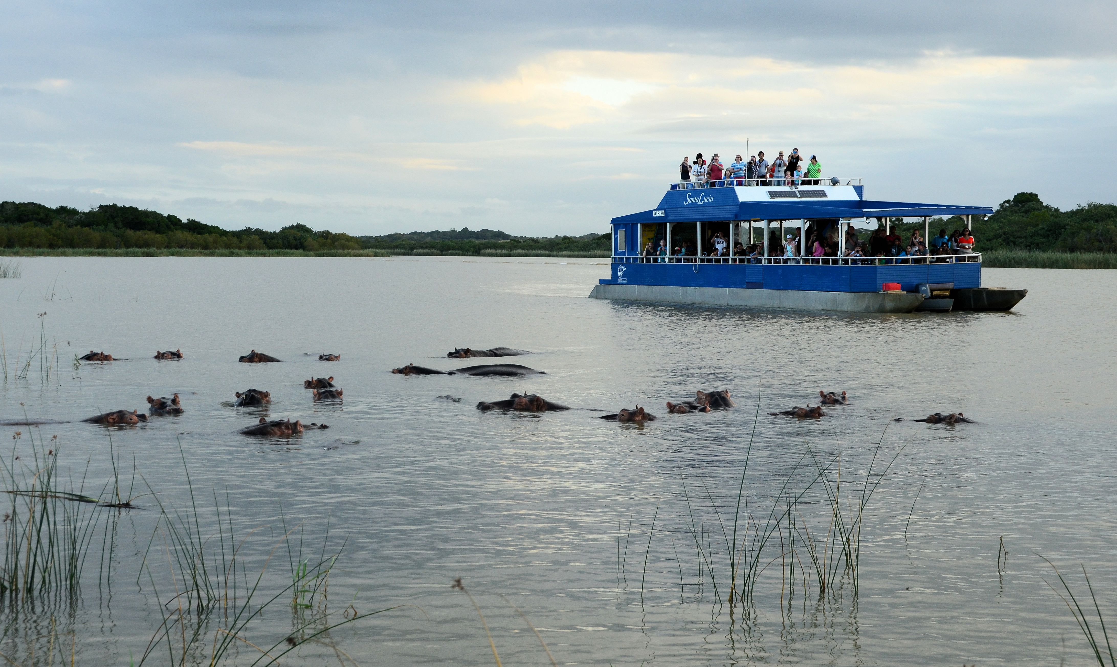 Opposition to mining may have led to ANC councillor’s murder