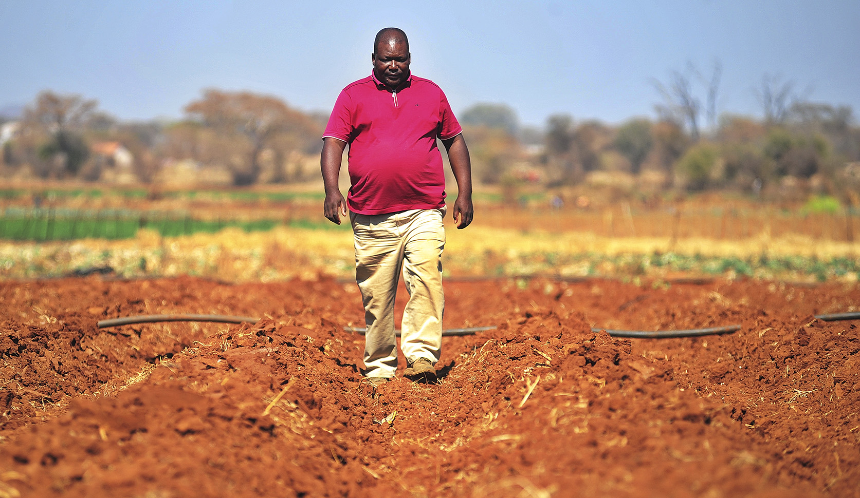 A hazy future for some farmers despite tobacco ban lift