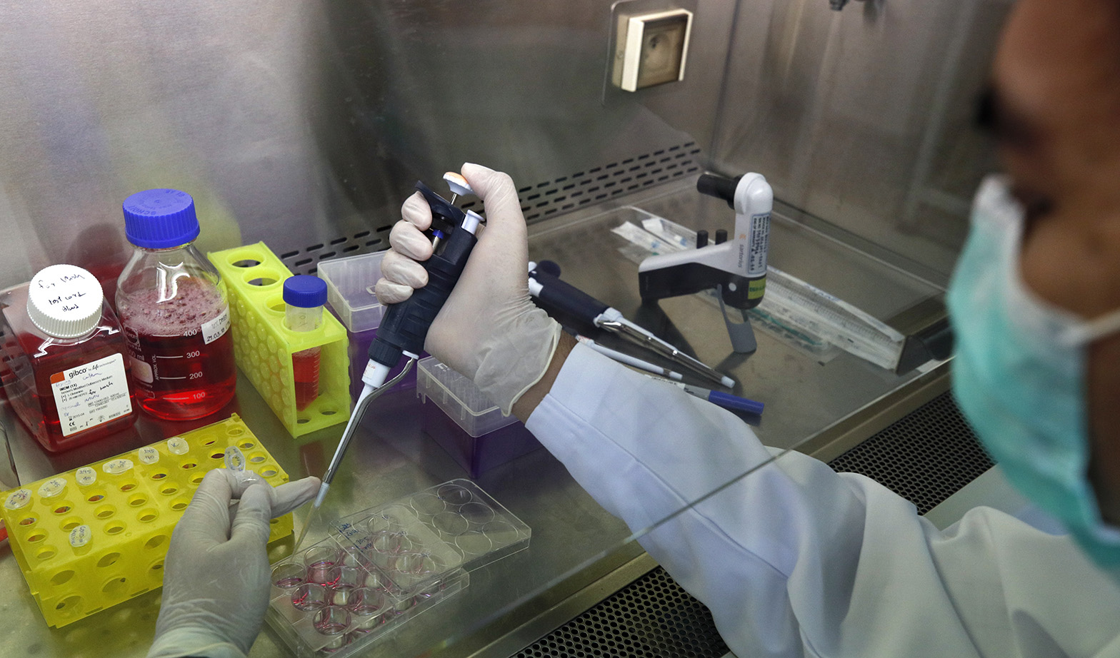 National Health Laboratory Service bosses suspended after PPE procurement probe