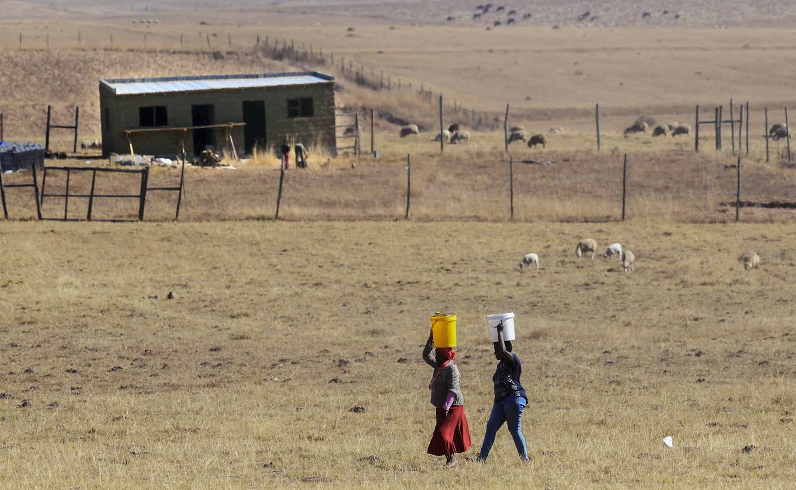 Traditional Courts Bill ‘ignores the constitutional rights of the rural communities it is meant to protect’