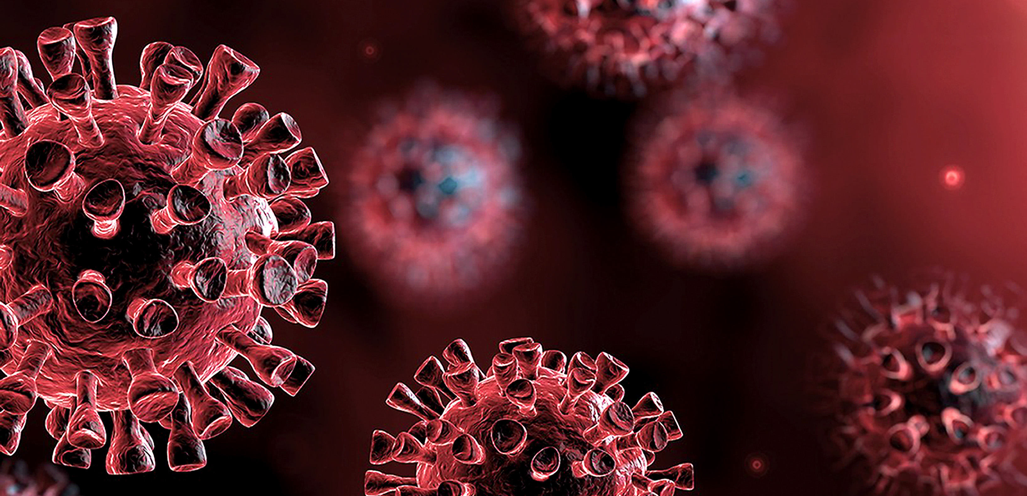 Researchers highlight Africa’s Covid-19 innovations and work to spread them further