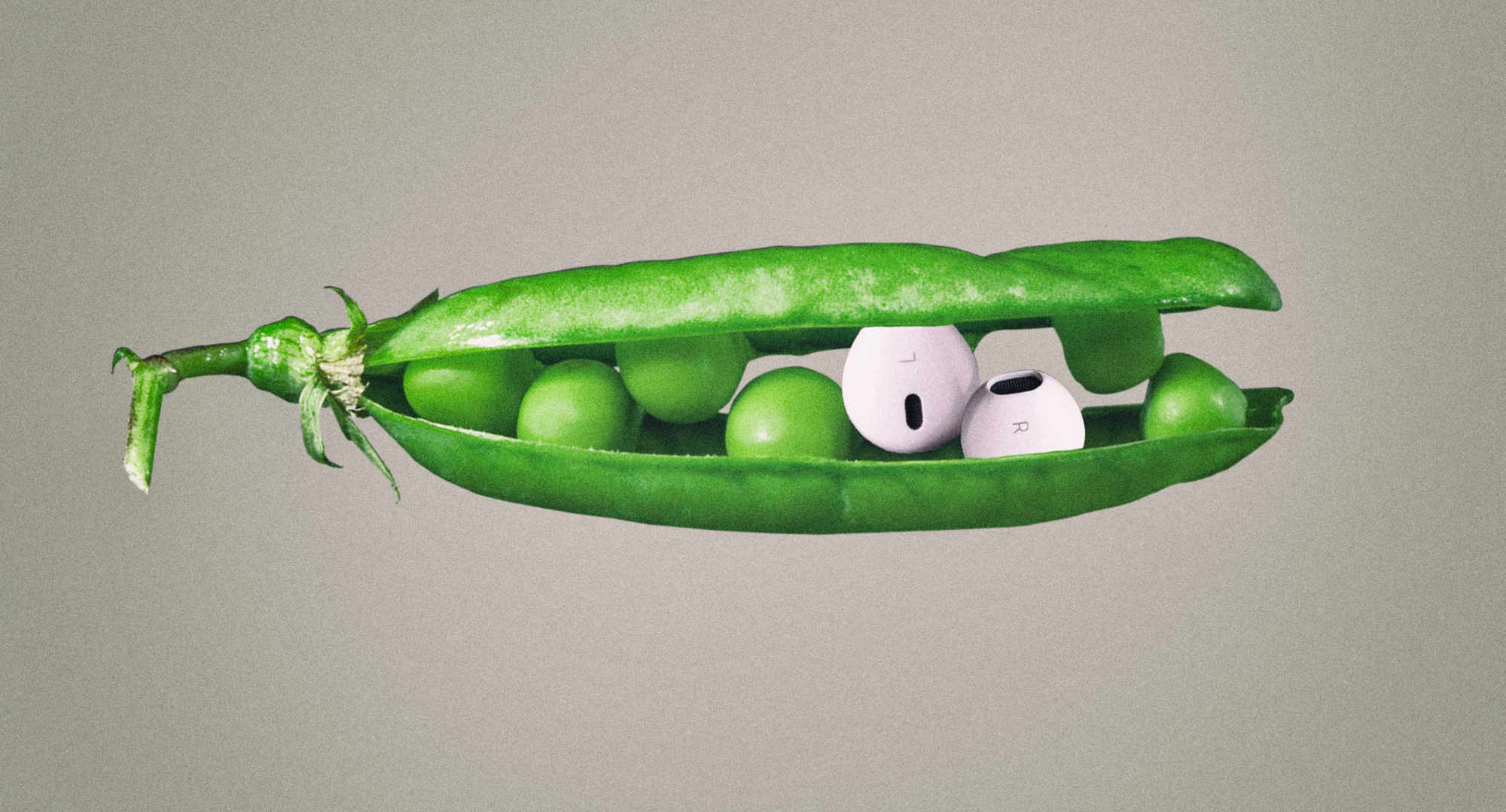 What’s on your plate: Stories about food, politics and identity