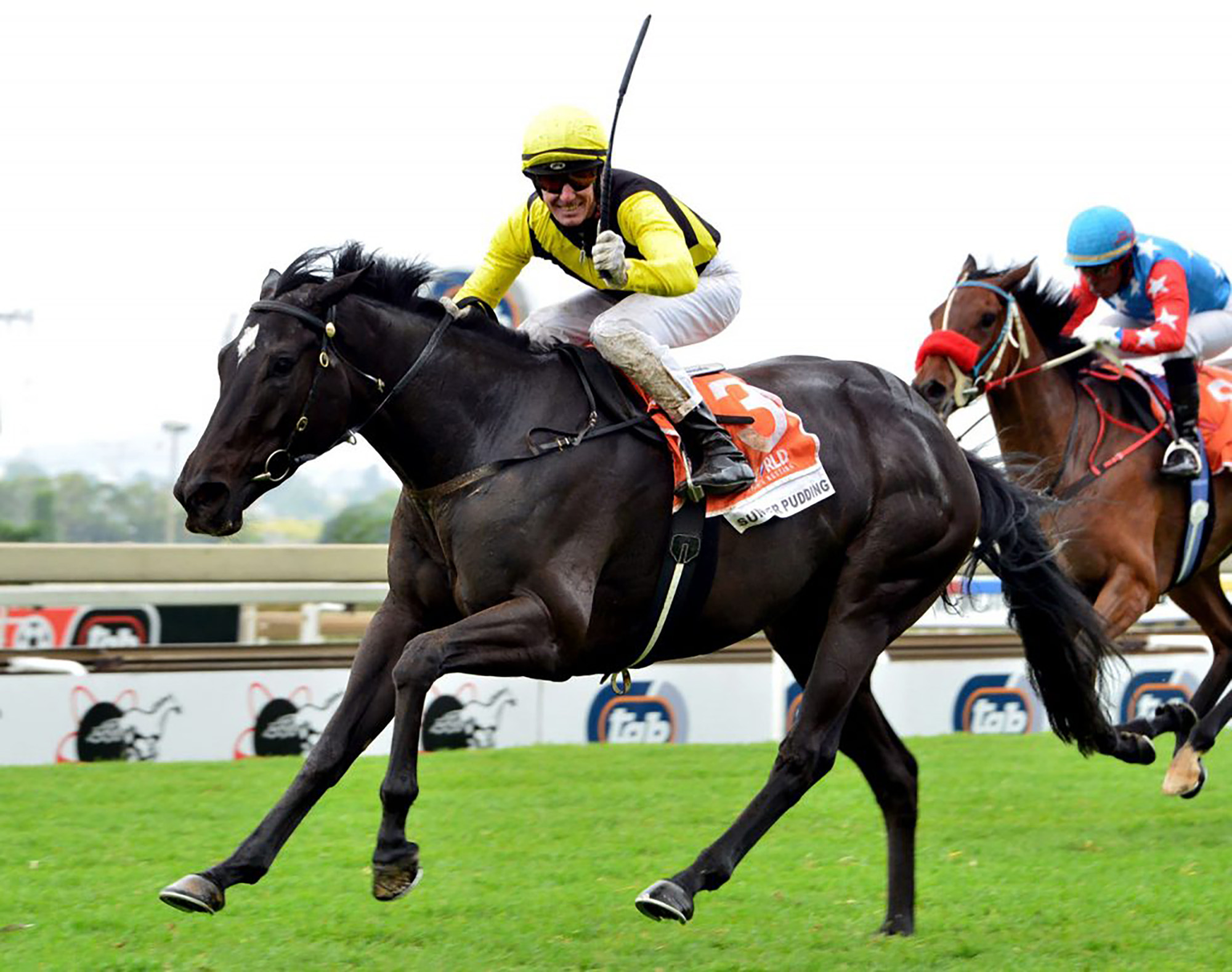 Pudding's proof may just be in her saving of horseracing’s future