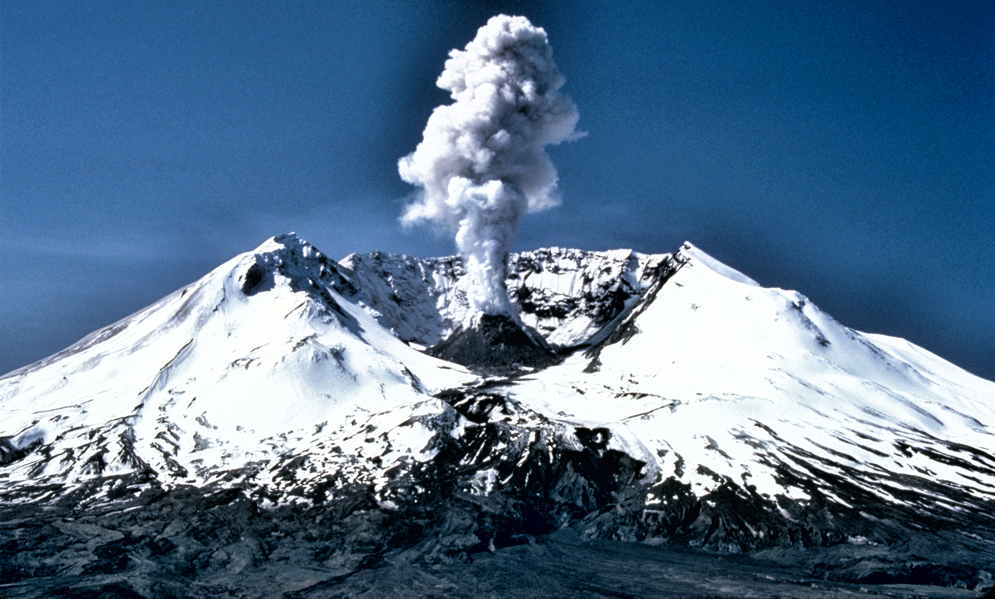 Pandemics and all those other disasters