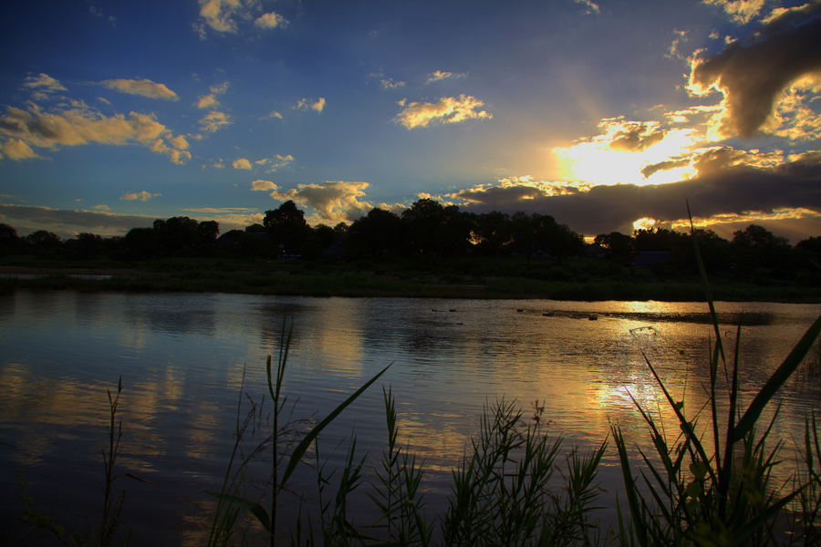 MalaMala: An example of how land restitution can go very wrong