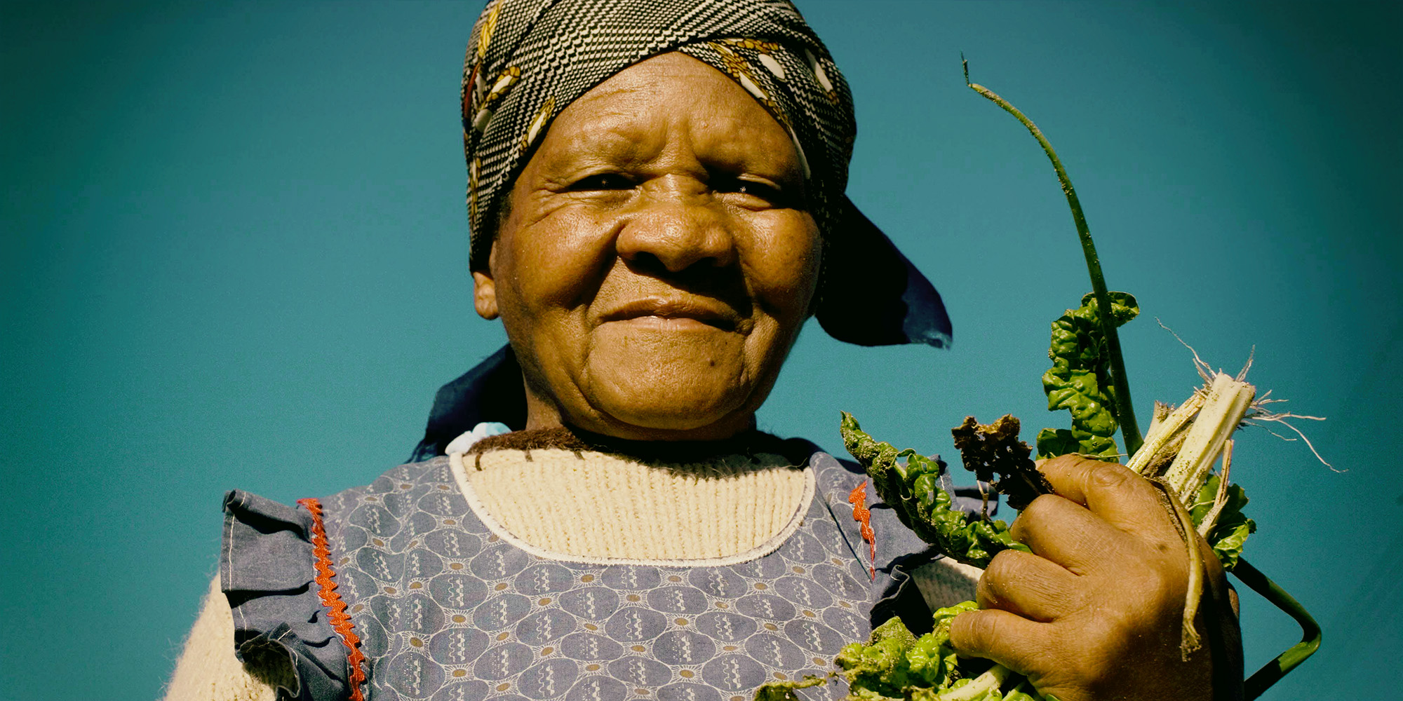 Food gardens and small-scale farmers hold key to food system transformation