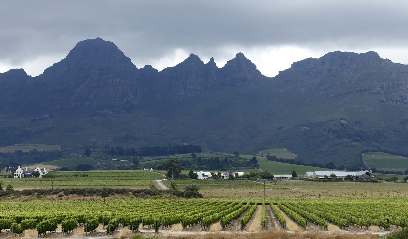 South Africa wine production drying up in water crisis