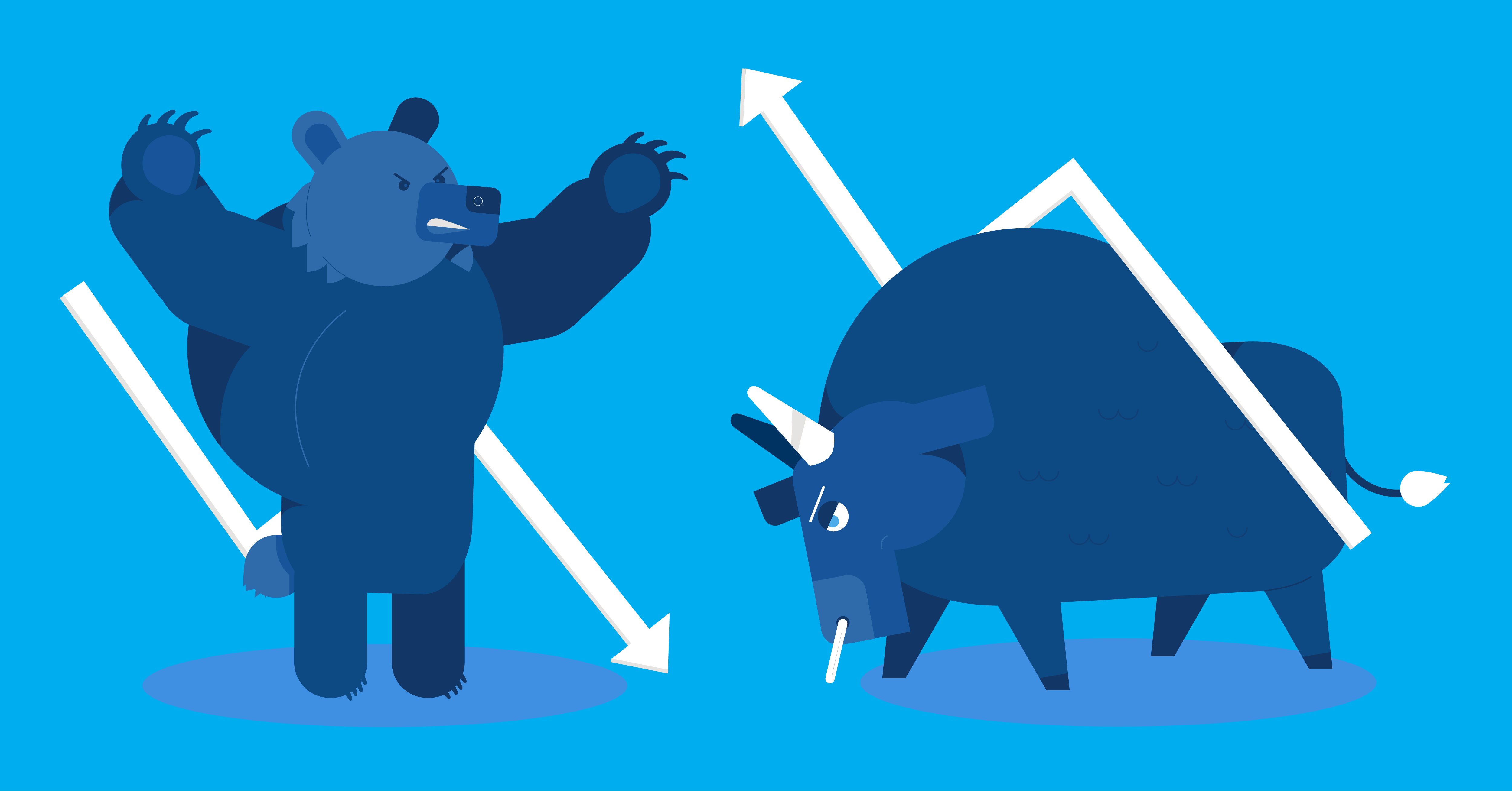 Market volatility Bulls and bears