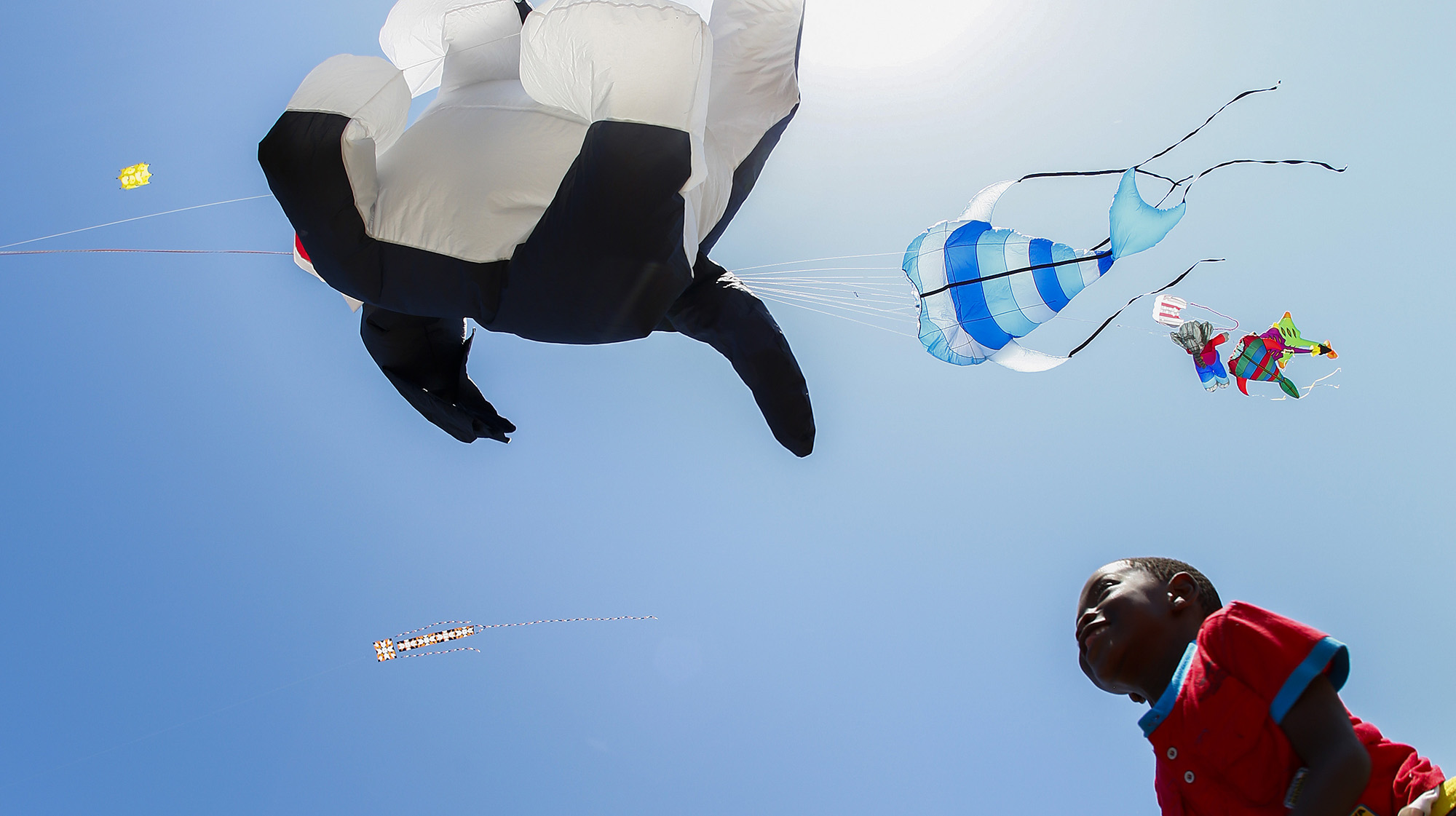 The education of children with disabilities risks falling by the wayside during the pandemic