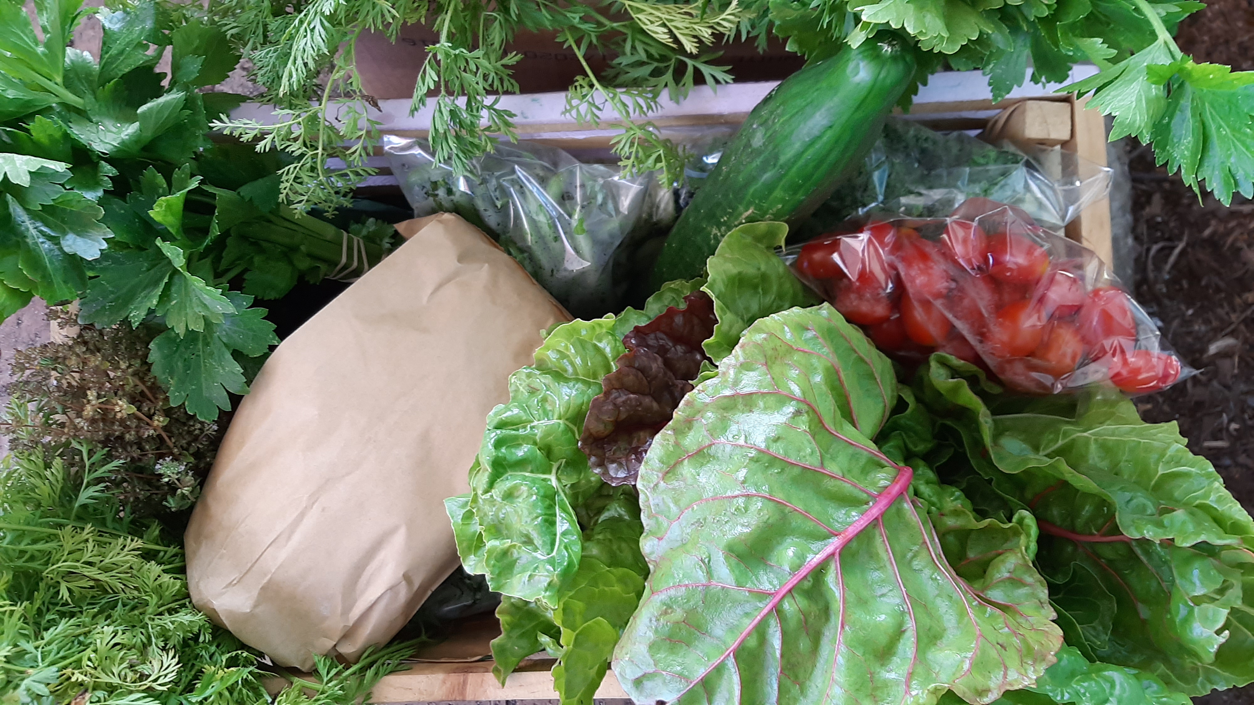 Parusha Naidoo: Thinking outside the veggie box