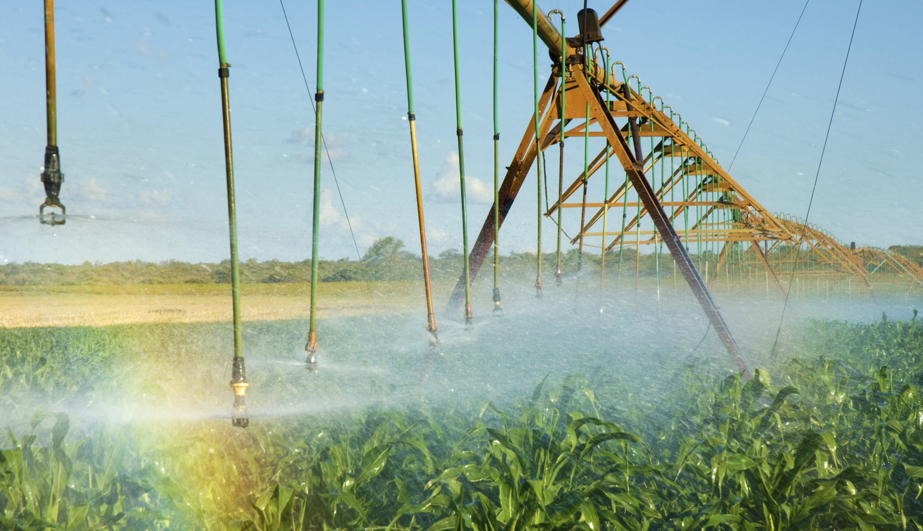 South Africa has all legislative and policy tools for land redistribution – politics, patronage and governance paralysis have made it impossible so far