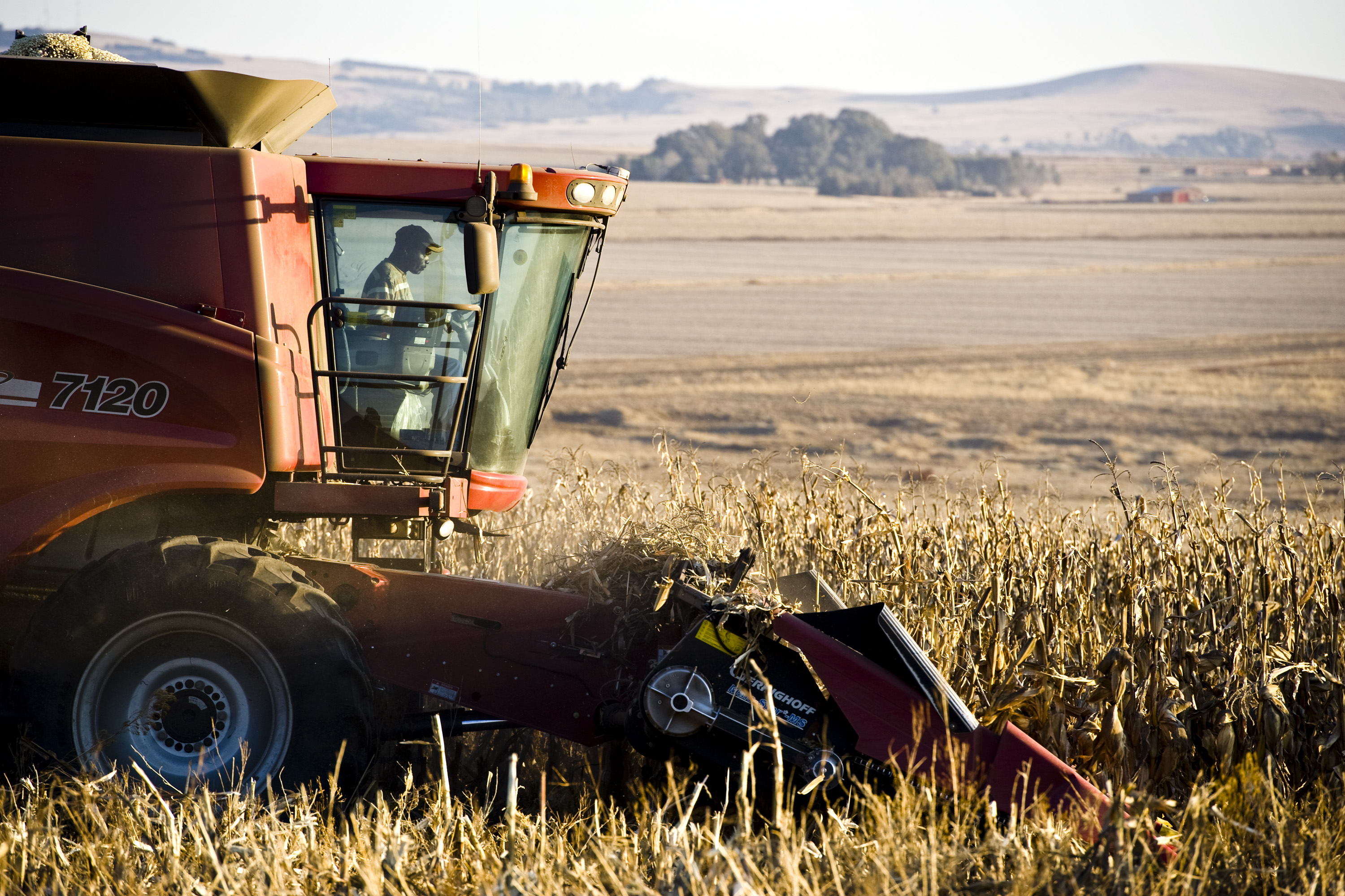 Expropriation without compensation is a done deal – all that’s left is the formalities