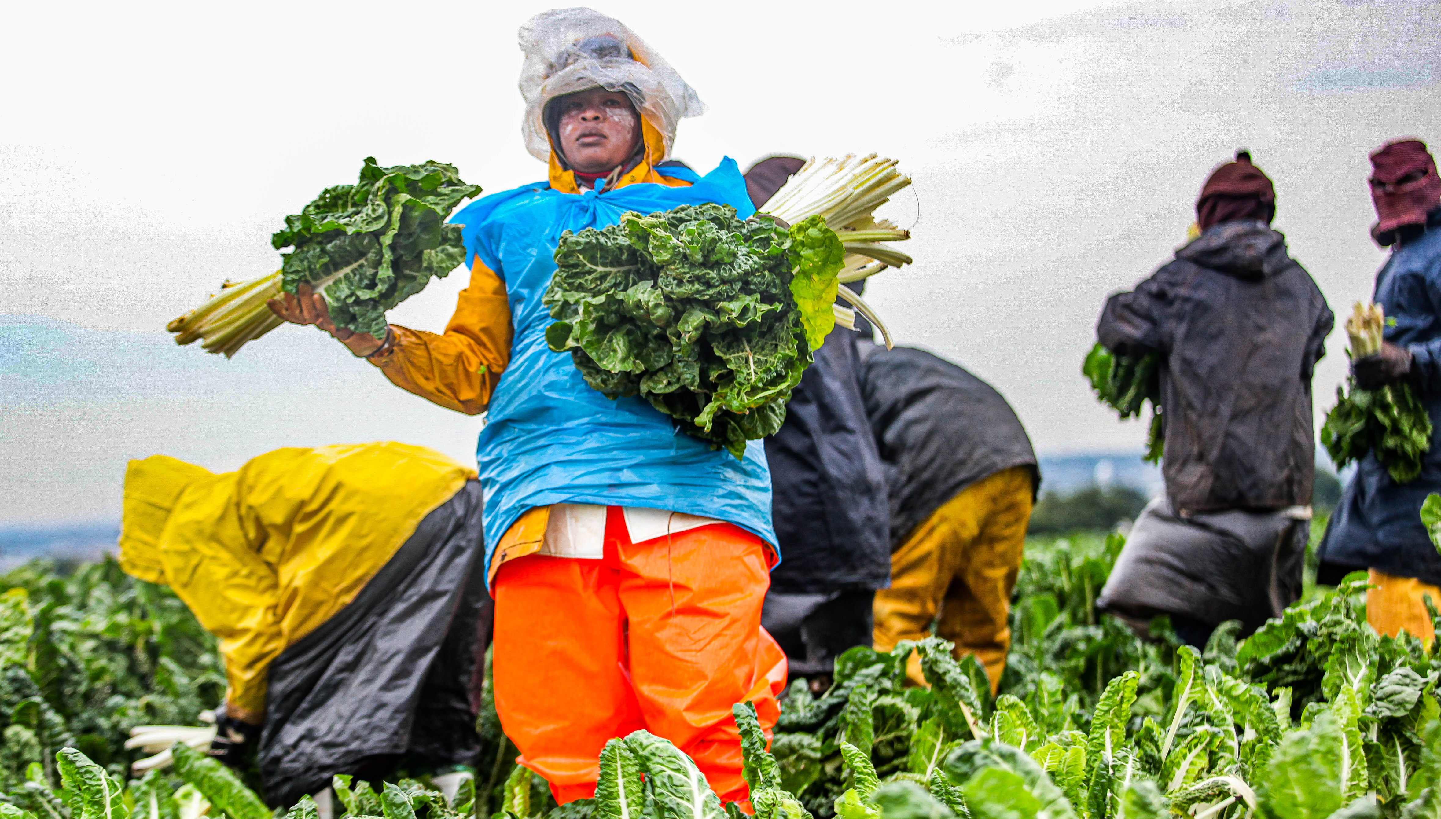 SA’s Economic Recovery, Take Two: Infrastructure and the lack of a silver bullet