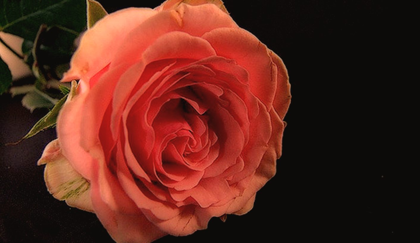 Wake up, Zambia, smell the roses