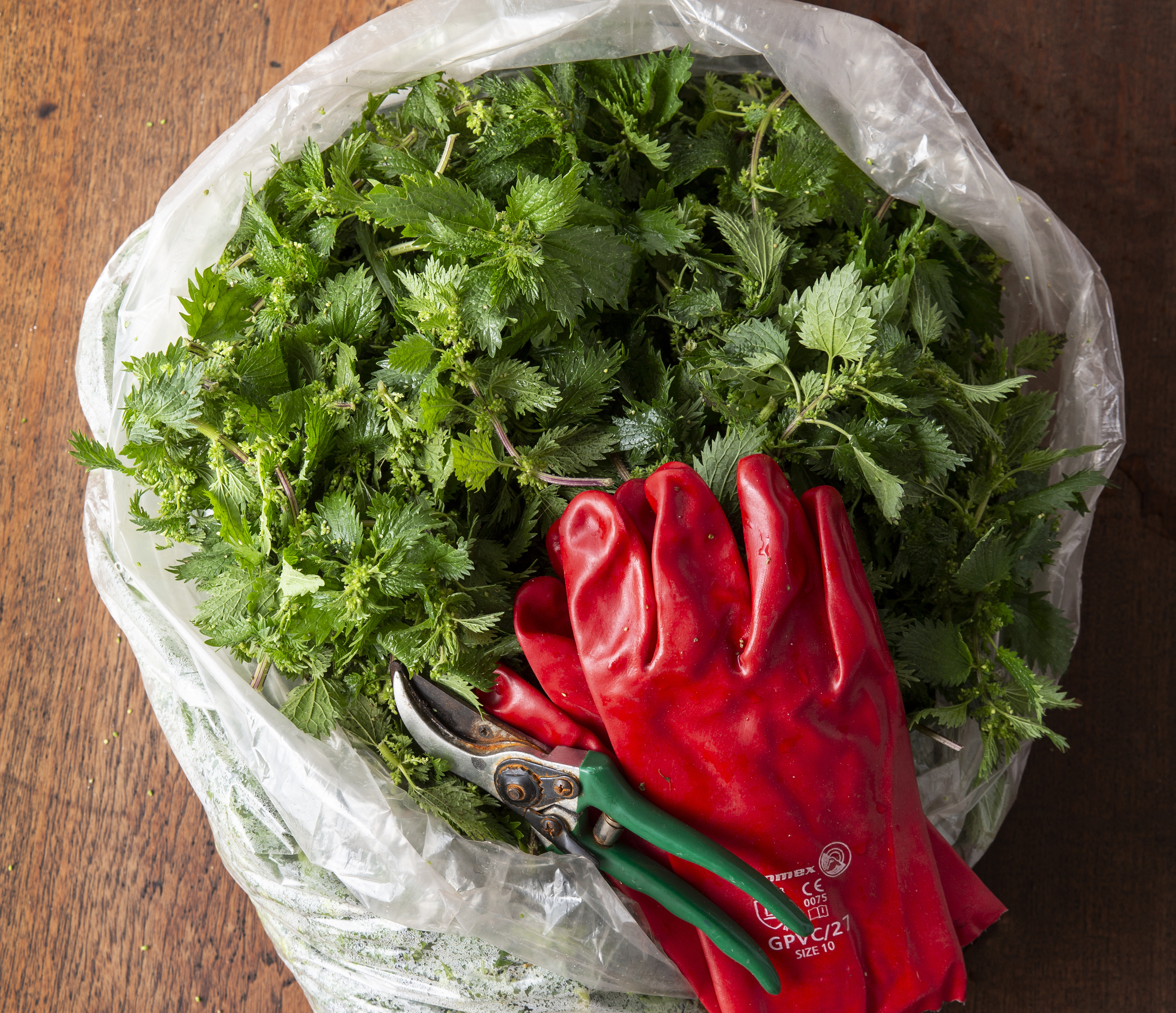 Never mind chefs, give me food that shines brightly