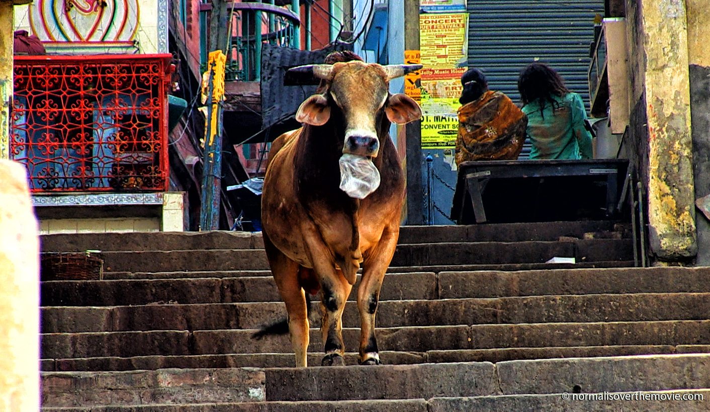 Review: Get ready for the new ‘normal’