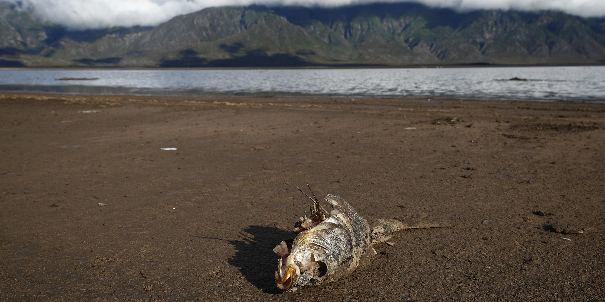 Water wars will increasingly fuel African and Middle East conflicts